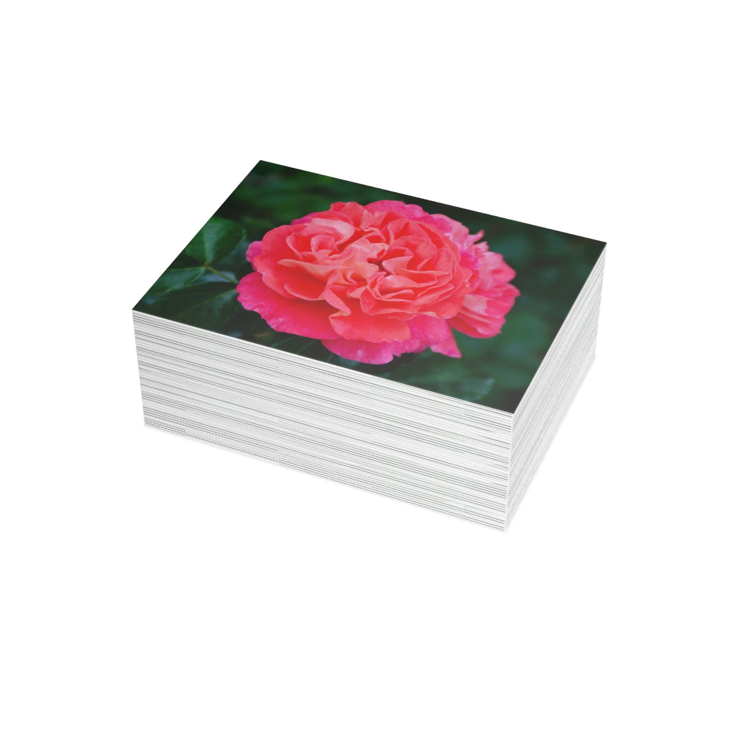 Flowers 08 Greeting Card Bundles (envelopes not included)