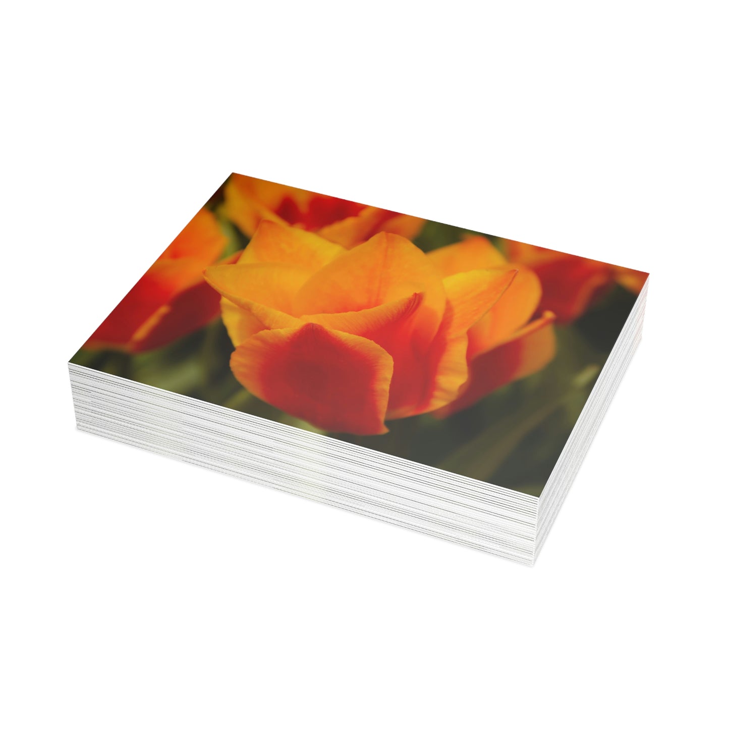 Flowers 13 Greeting Card Bundles (envelopes not included)