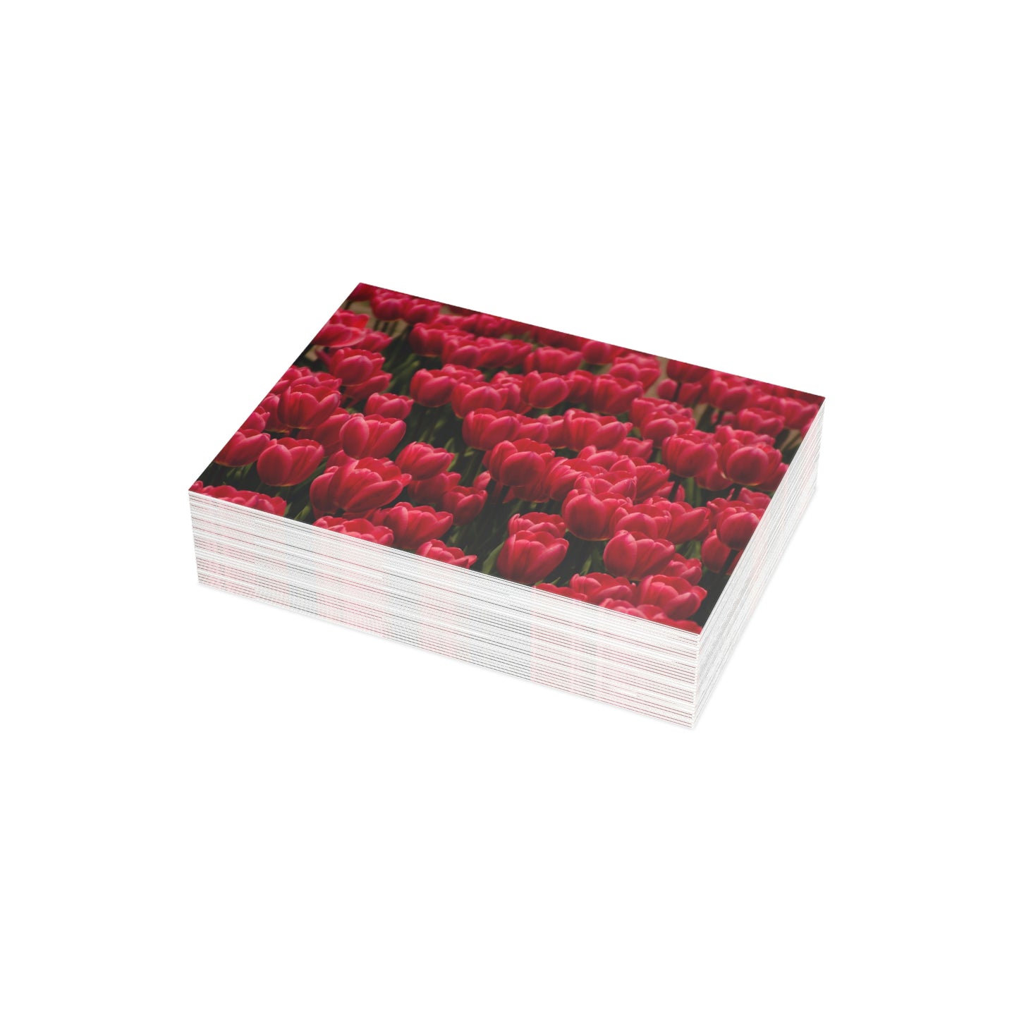 Flowers 15 Greeting Card Bundles (envelopes not included)