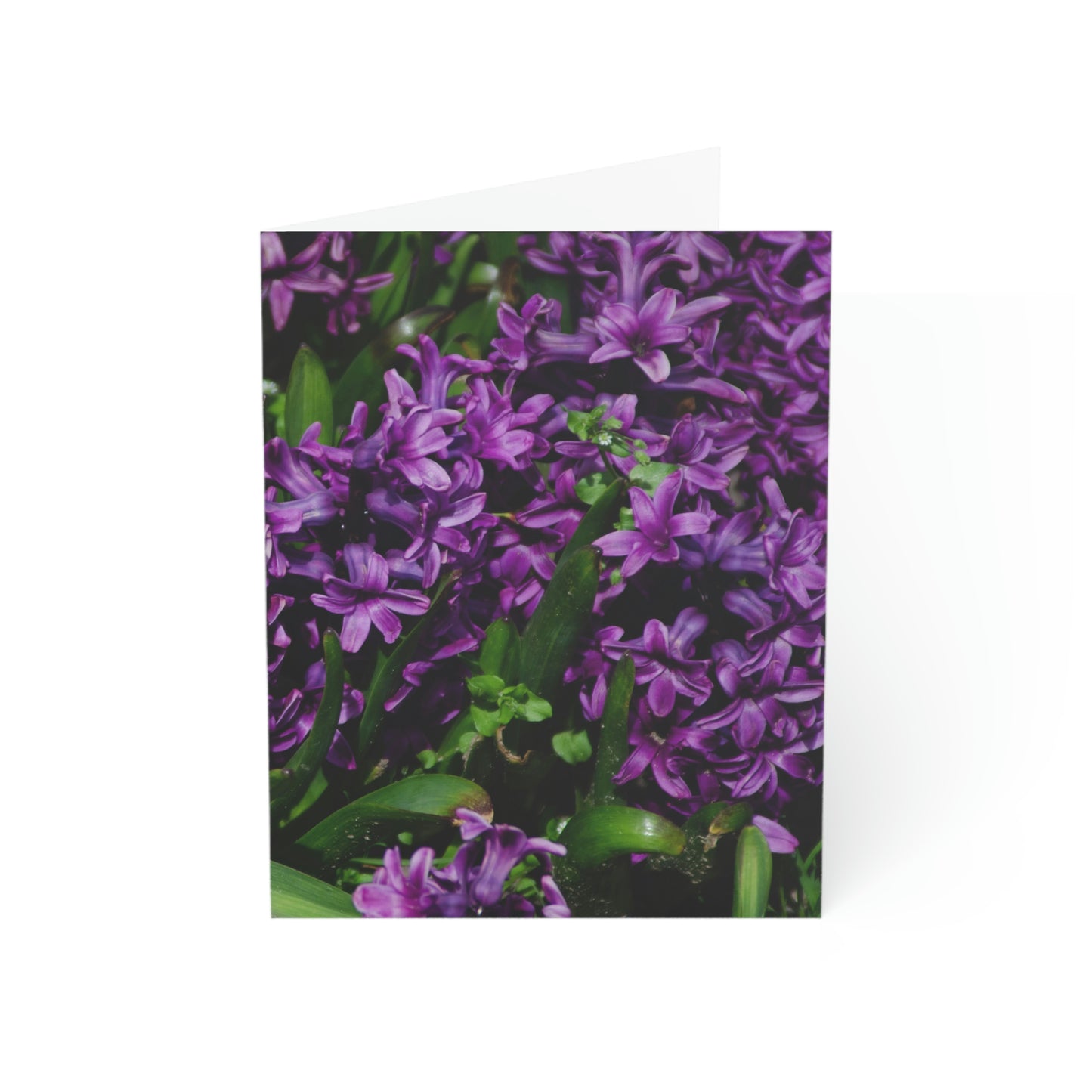 Flowers 21 Greeting Cards (1, 10, 30, and 50pcs)