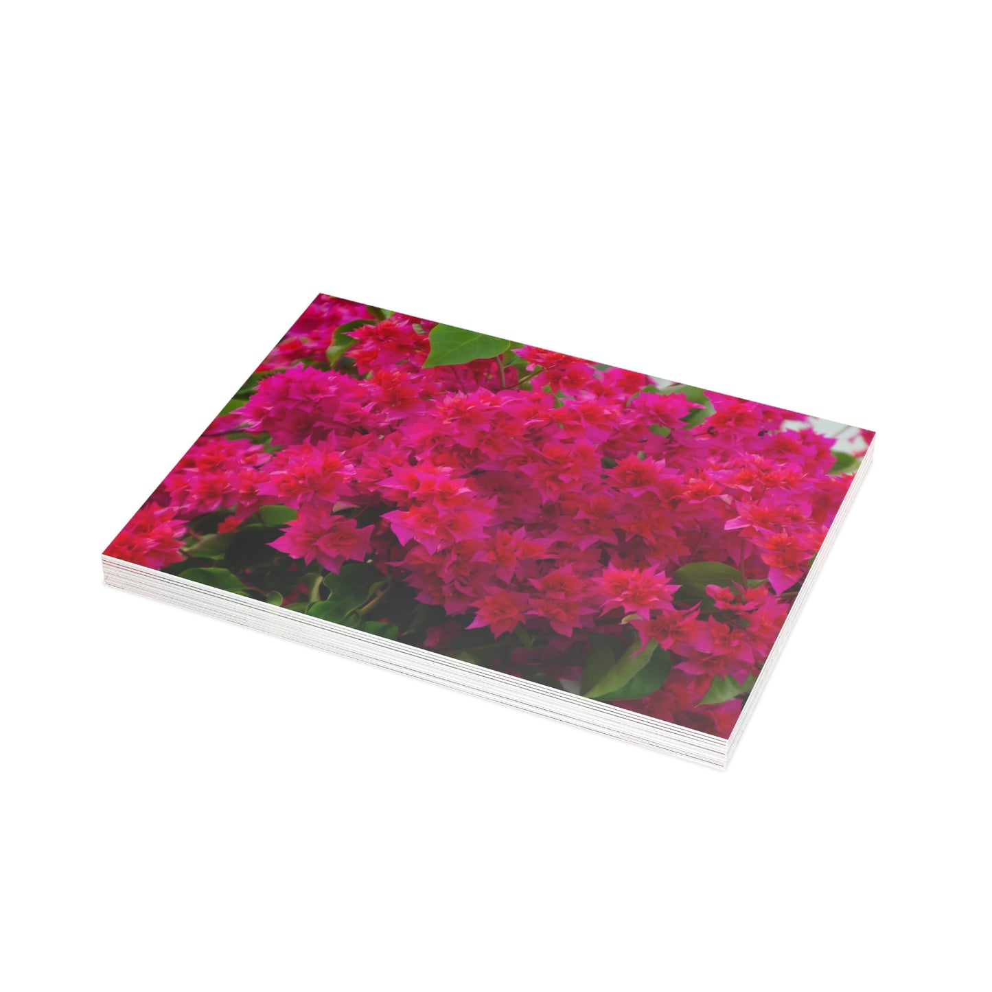 Flowers 28 Greeting Card Bundles (envelopes not included)