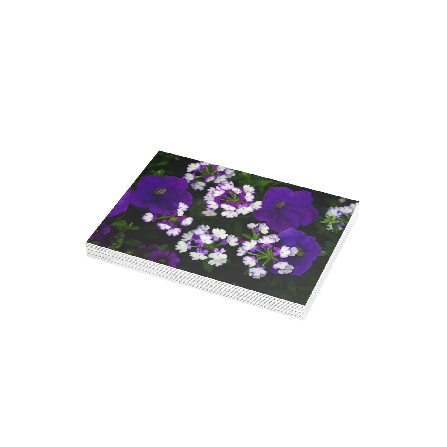 Flowers 03 Greeting Card Bundles (envelopes not included)