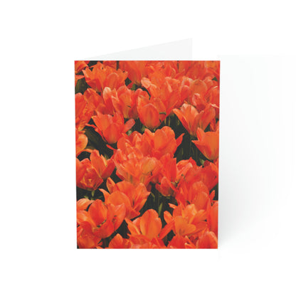 Flowers 03 Greeting Cards (1, 10, 30, and 50pcs)