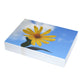 Flowers 32 Greeting Card Bundles (envelopes not included)