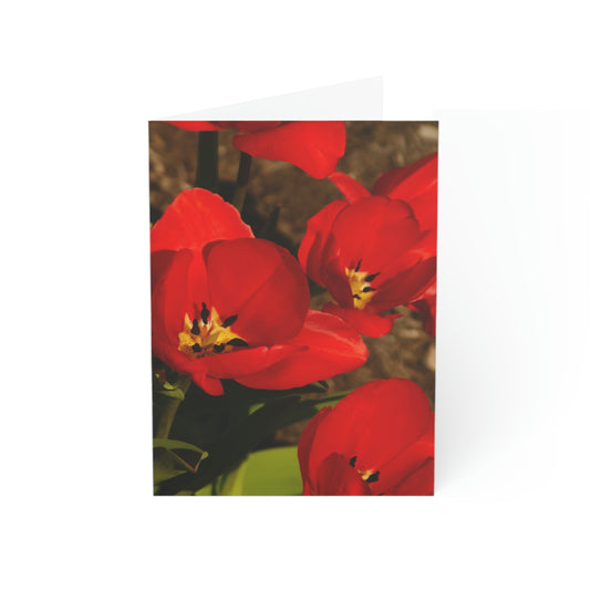 Flowers 05 Greeting Cards (1, 10, 30, and 50pcs)