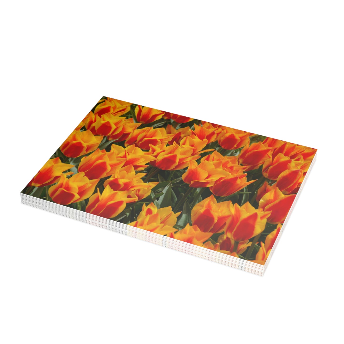 Flowers 19 Greeting Card Bundles (envelopes not included)