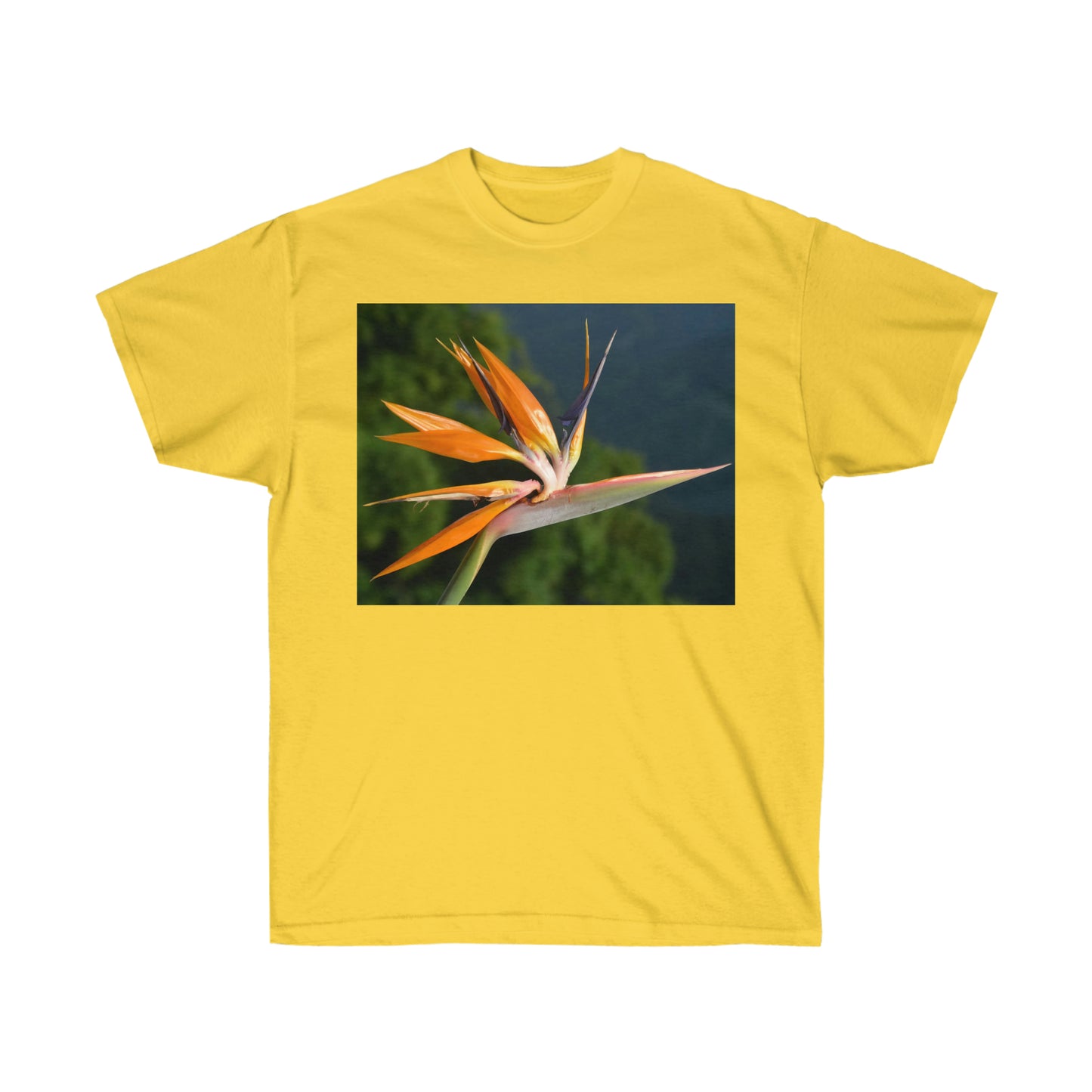 Flowers 26 Unisex Ultra Cotton Tee