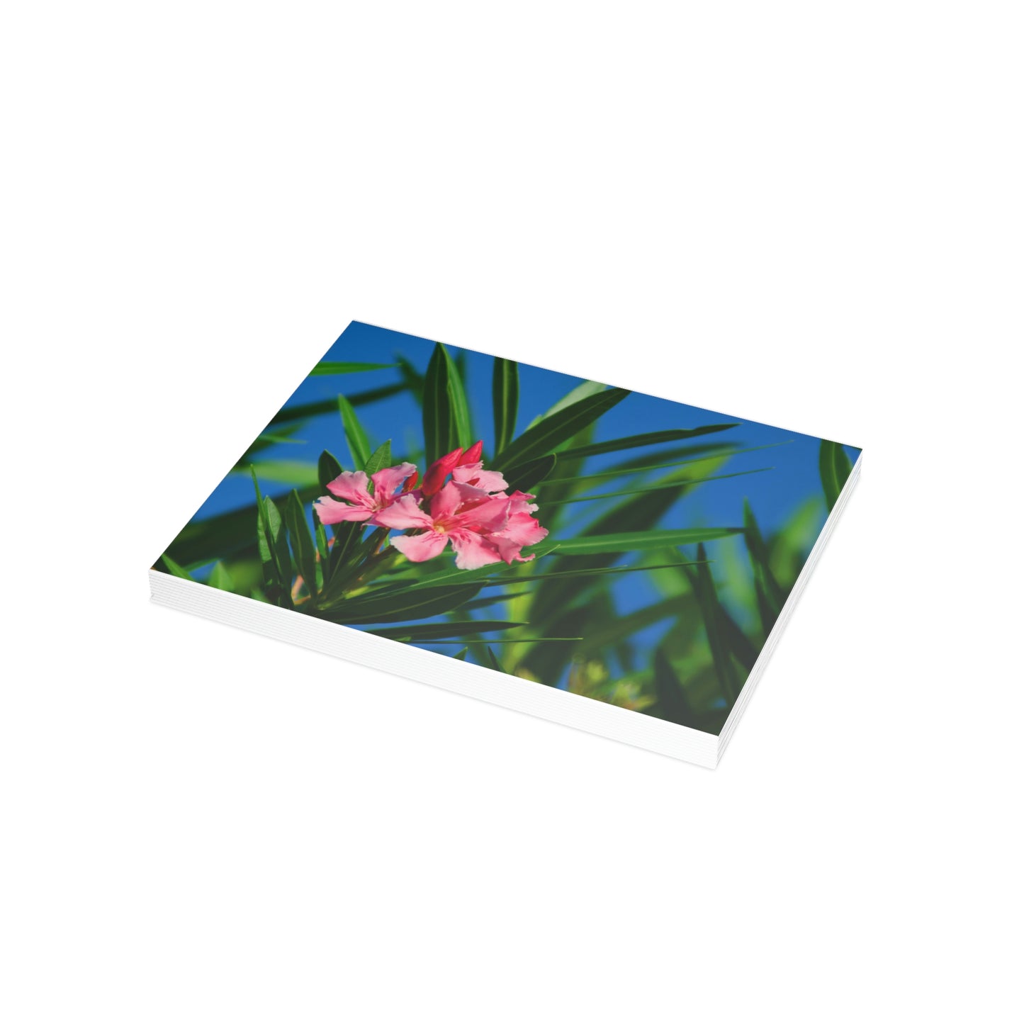 Flowers 30 Greeting Card Bundles (envelopes not included)