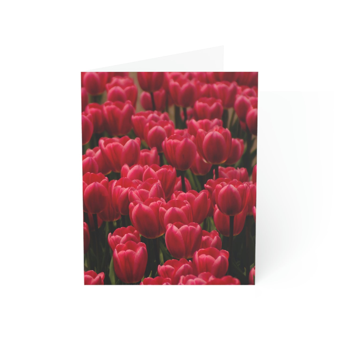 Flowers 16 Greeting Cards (1, 10, 30, and 50pcs)