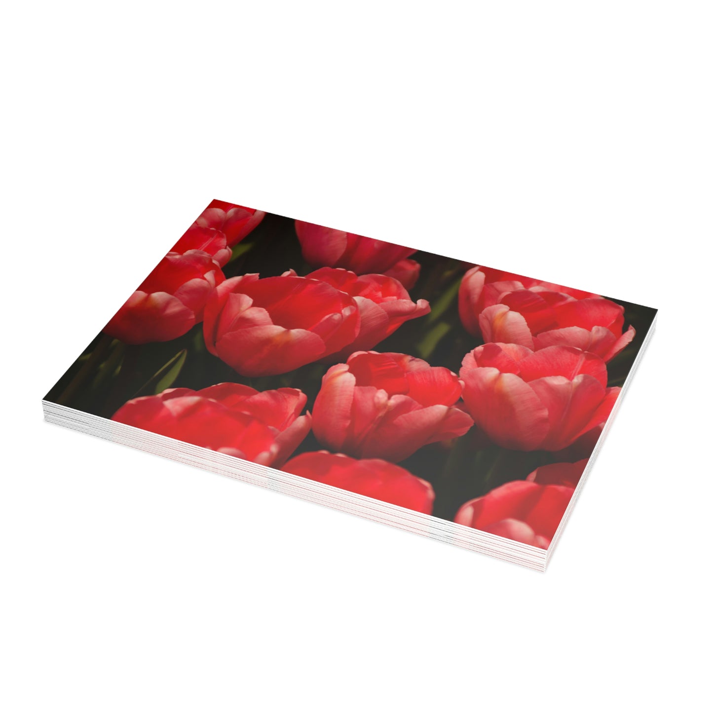 Flowers 09 Greeting Card Bundles (envelopes not included)