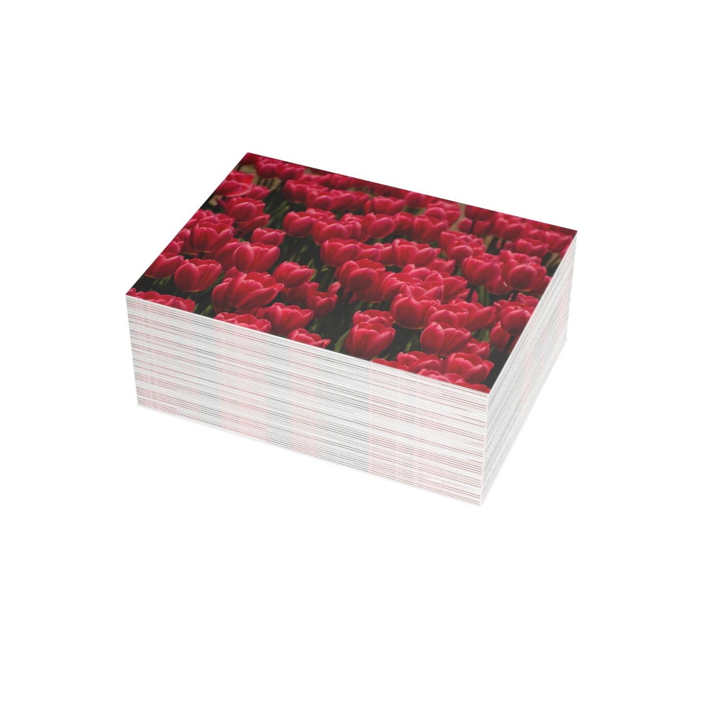Flowers 15 Greeting Card Bundles (envelopes not included)