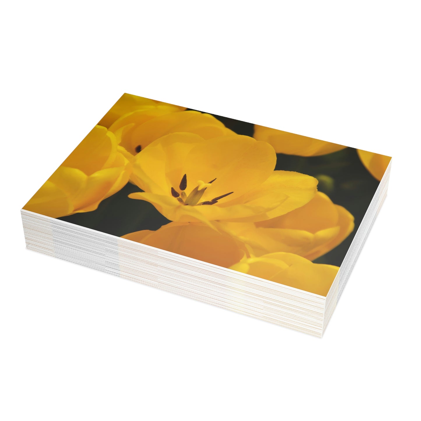 Flowers 16 Greeting Card Bundles (envelopes not included)