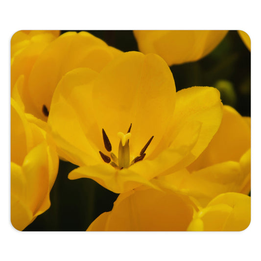 Flowers 16 Rectangle Mouse Pad