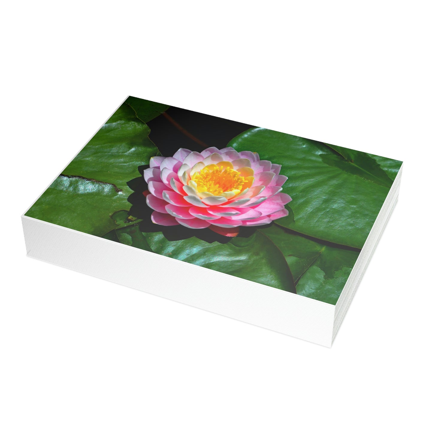 Flowers 25 Greeting Card Bundles (envelopes not included)