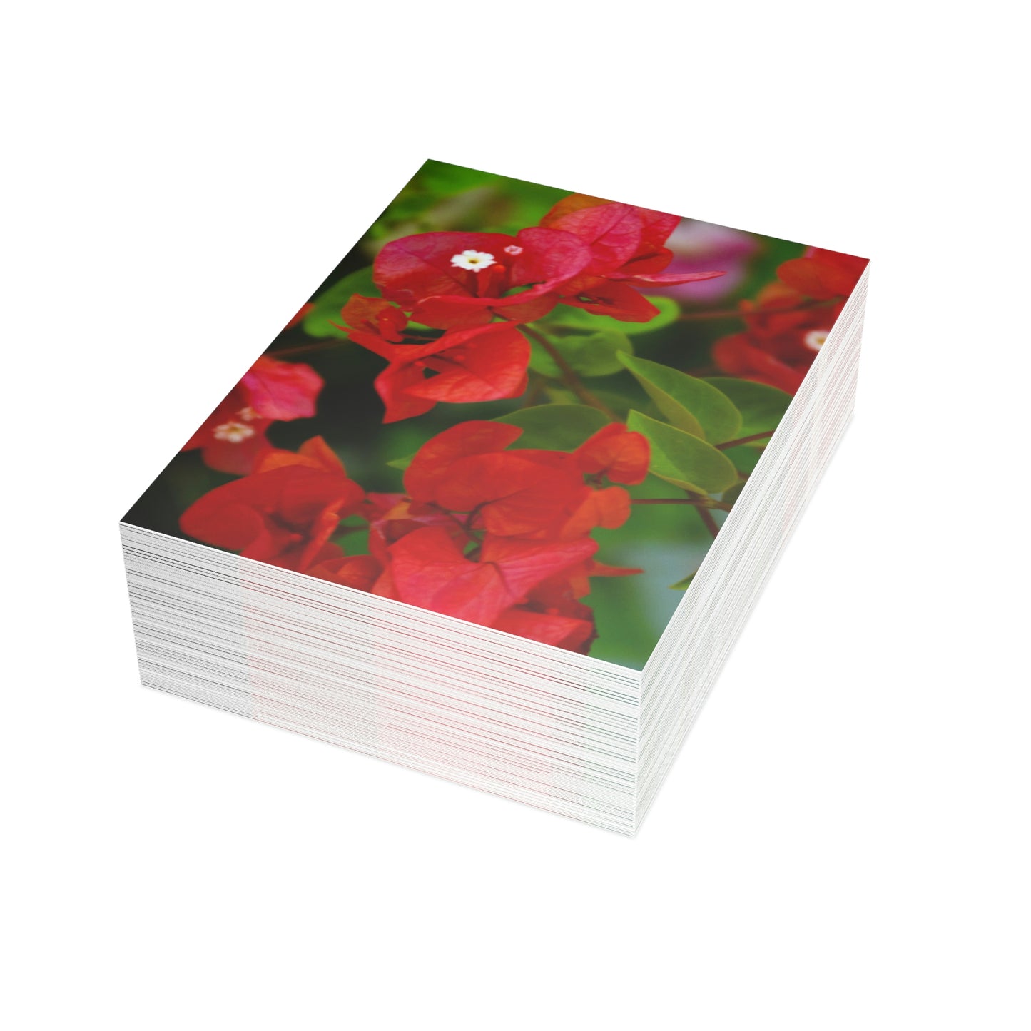 Flowers 27 Greeting Card Bundles (envelopes not included)