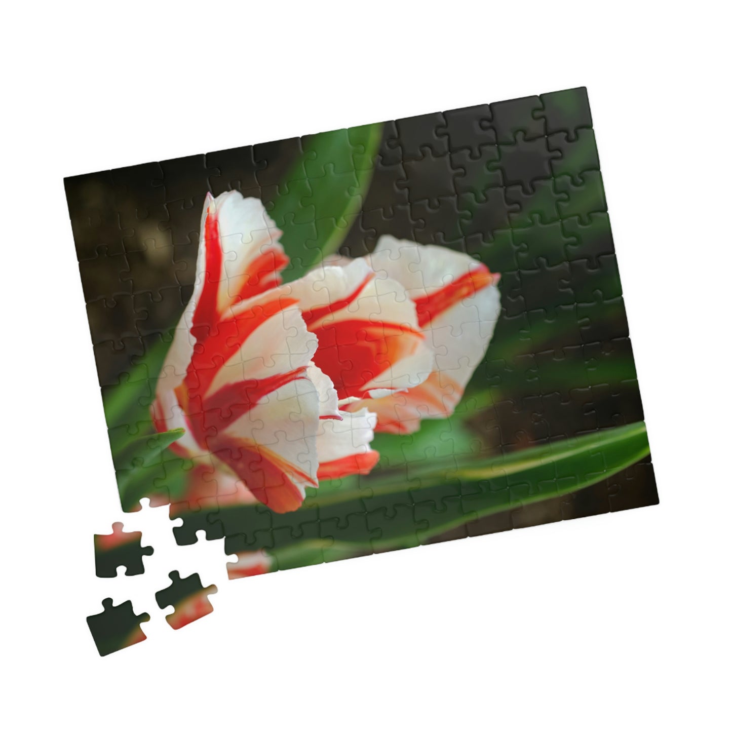 Flowers 06 Puzzle (110, 252, 500, 1014-piece)