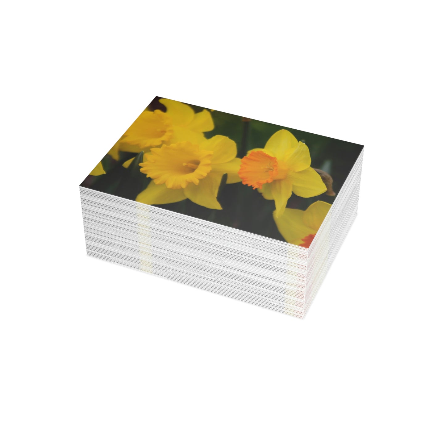 Flowers 10 Greeting Card Bundles (envelopes not included)