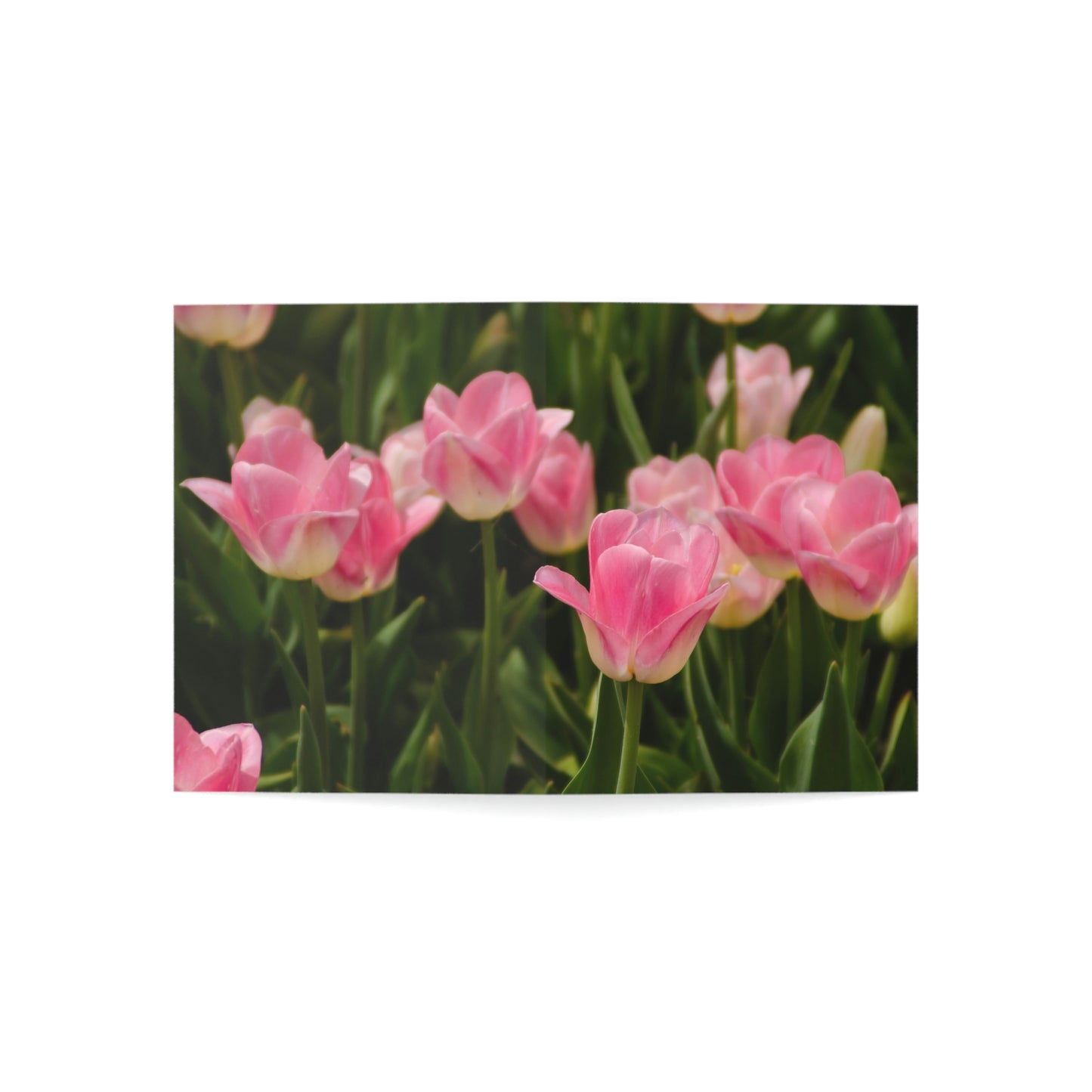 Flowers 17 Greeting Cards (1, 10, 30, and 50pcs)