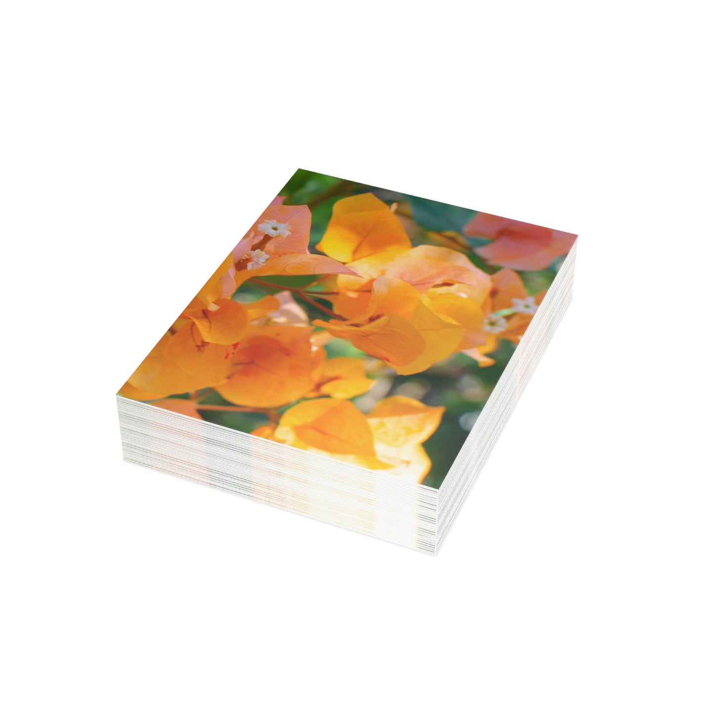 Flowers 29 Greeting Cards (1, 10, 30, and 50pcs)