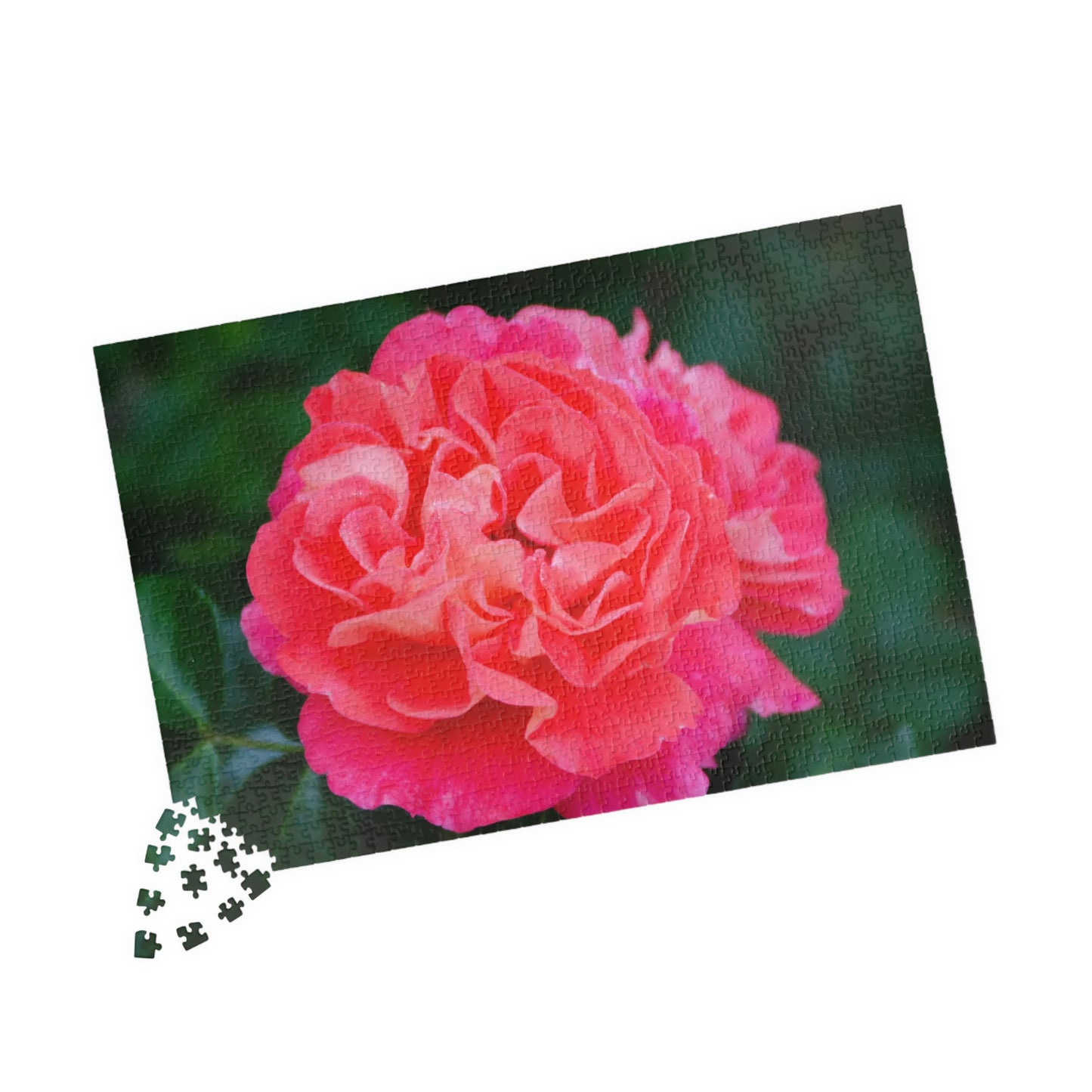 Flowers 08 Puzzle (110, 252, 500, 1014-piece)