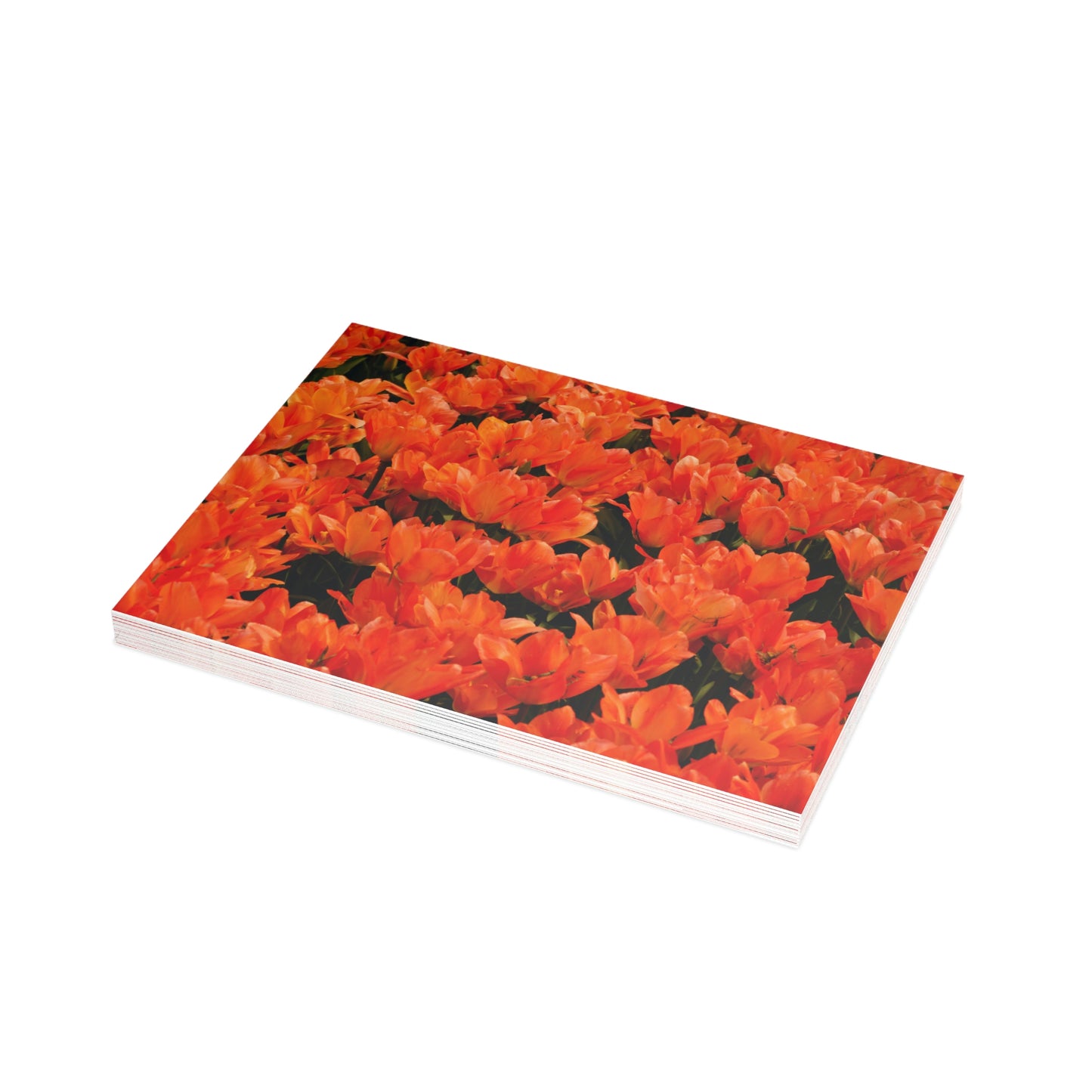 Flowers 02 Greeting Card Bundles (envelopes not included)