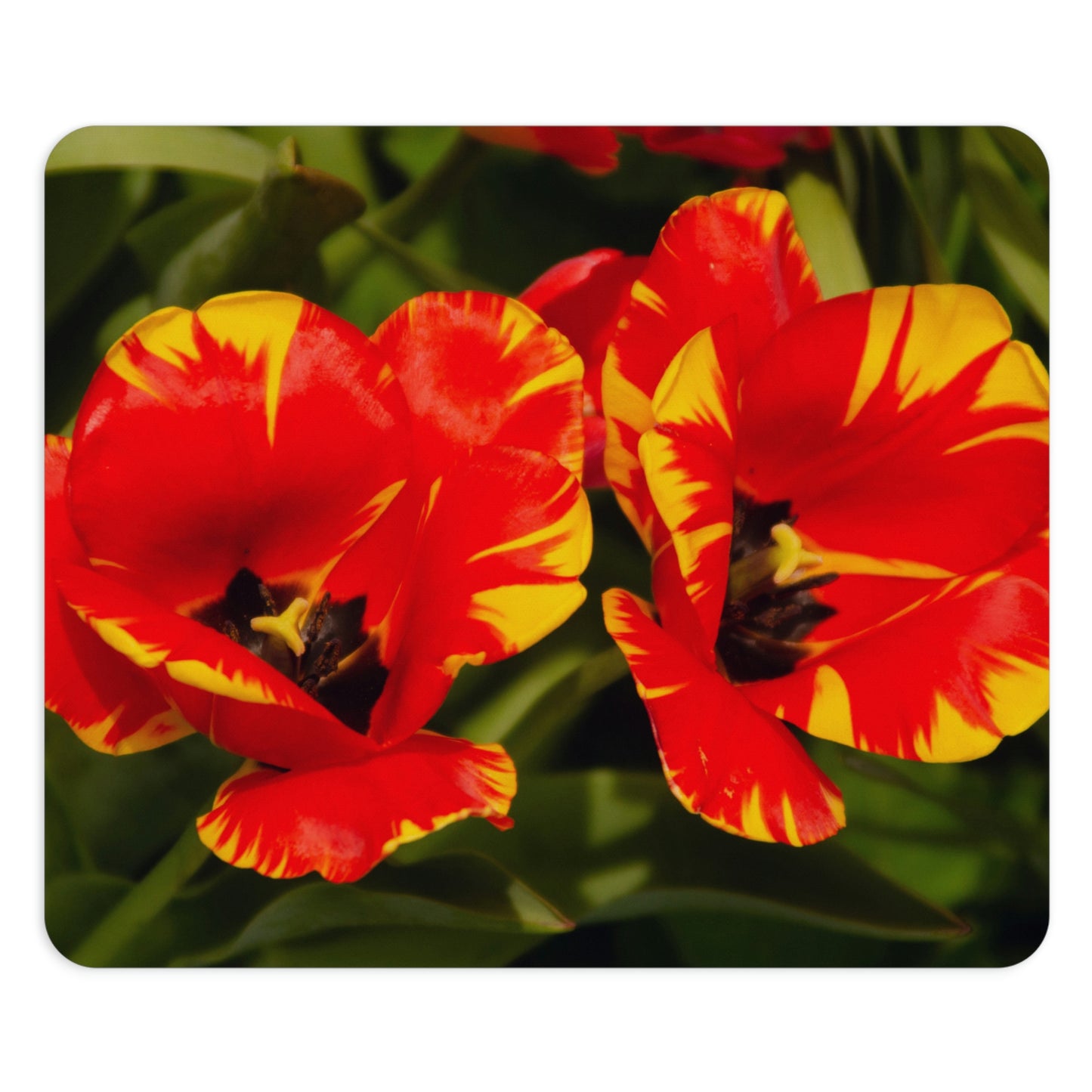 Flowers 12 Rectangle Mouse Pad