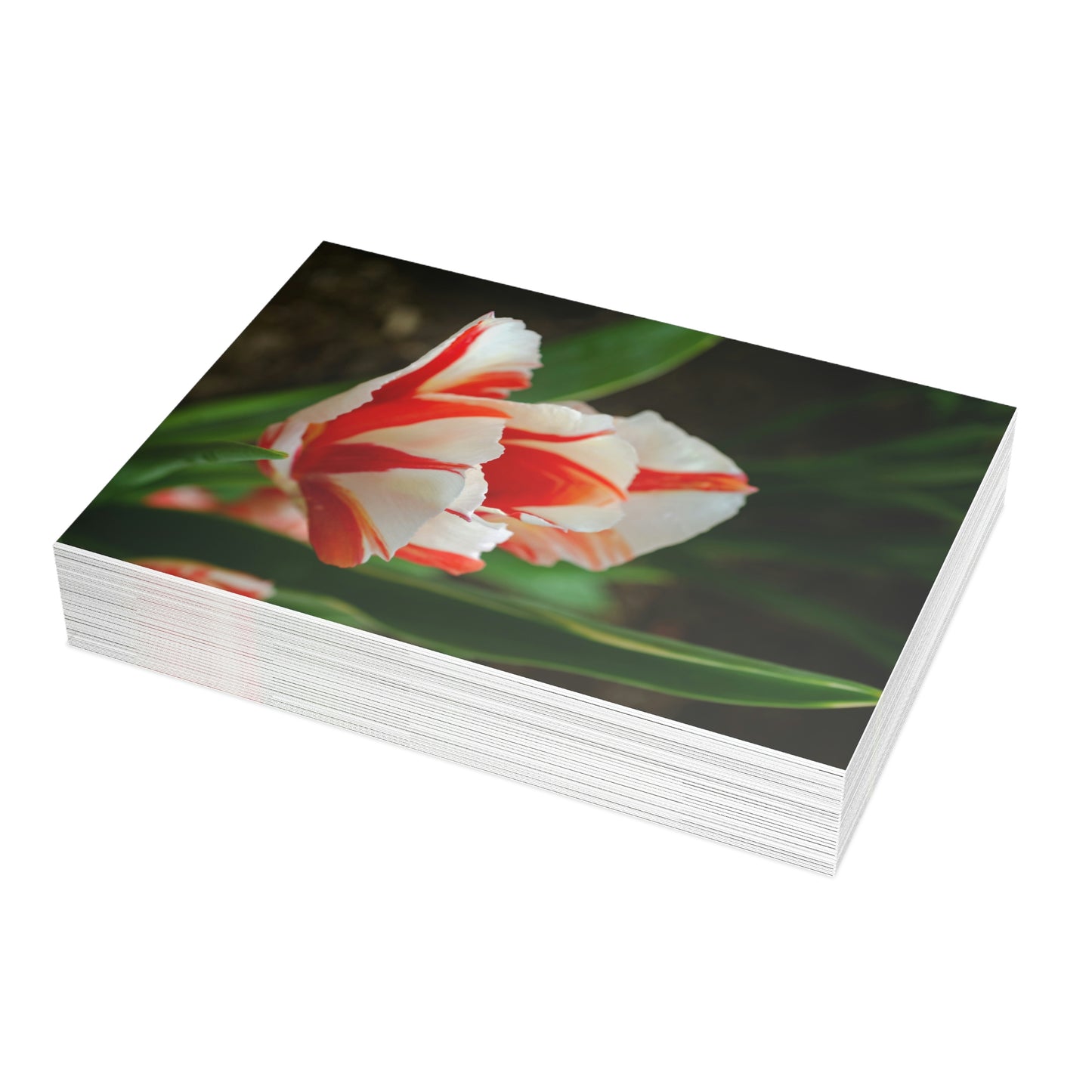 Flowers 04 Greeting Card Bundles (envelopes not included)