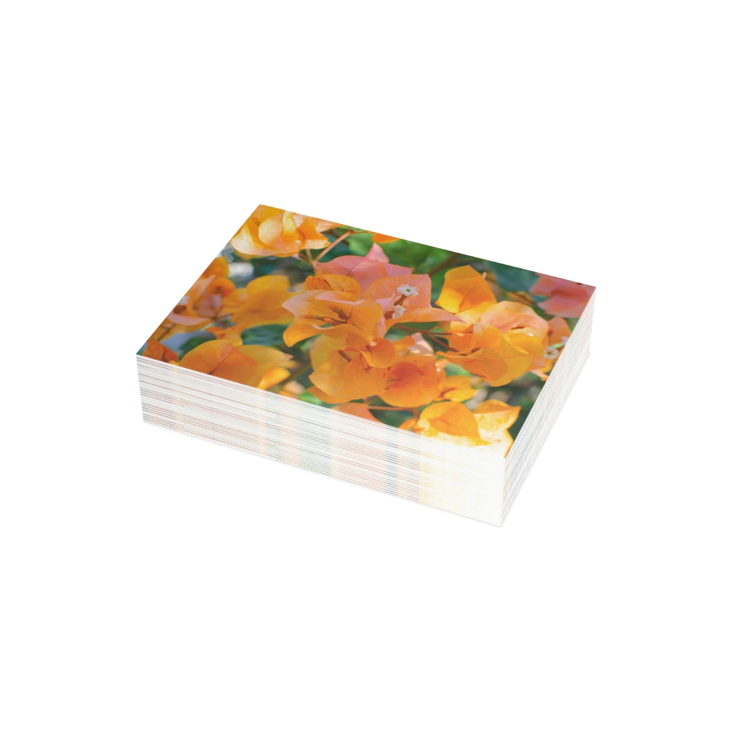 Flowers 29 Greeting Card Bundles (envelopes not included)