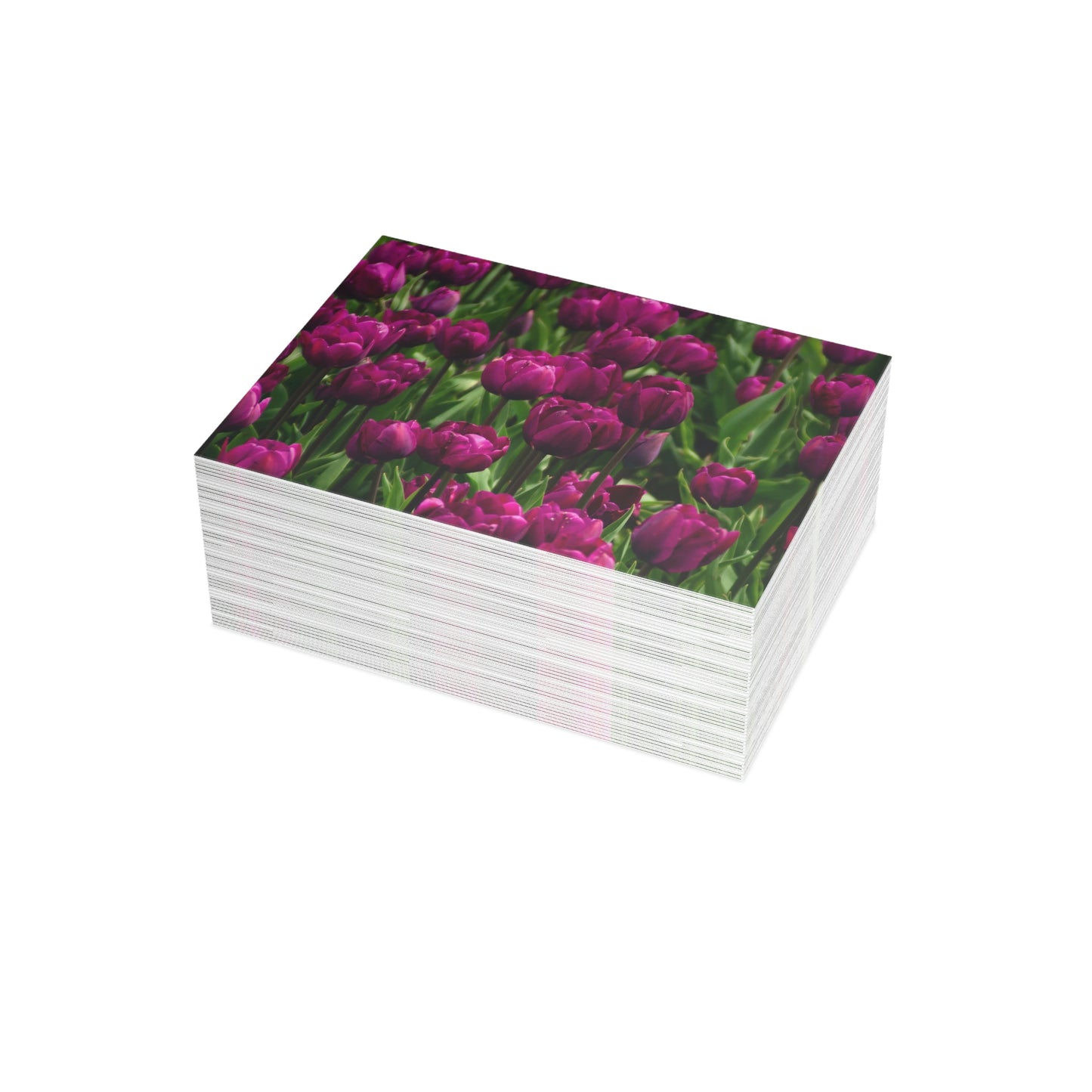 Flowers 18 Greeting Card Bundles (envelopes not included)
