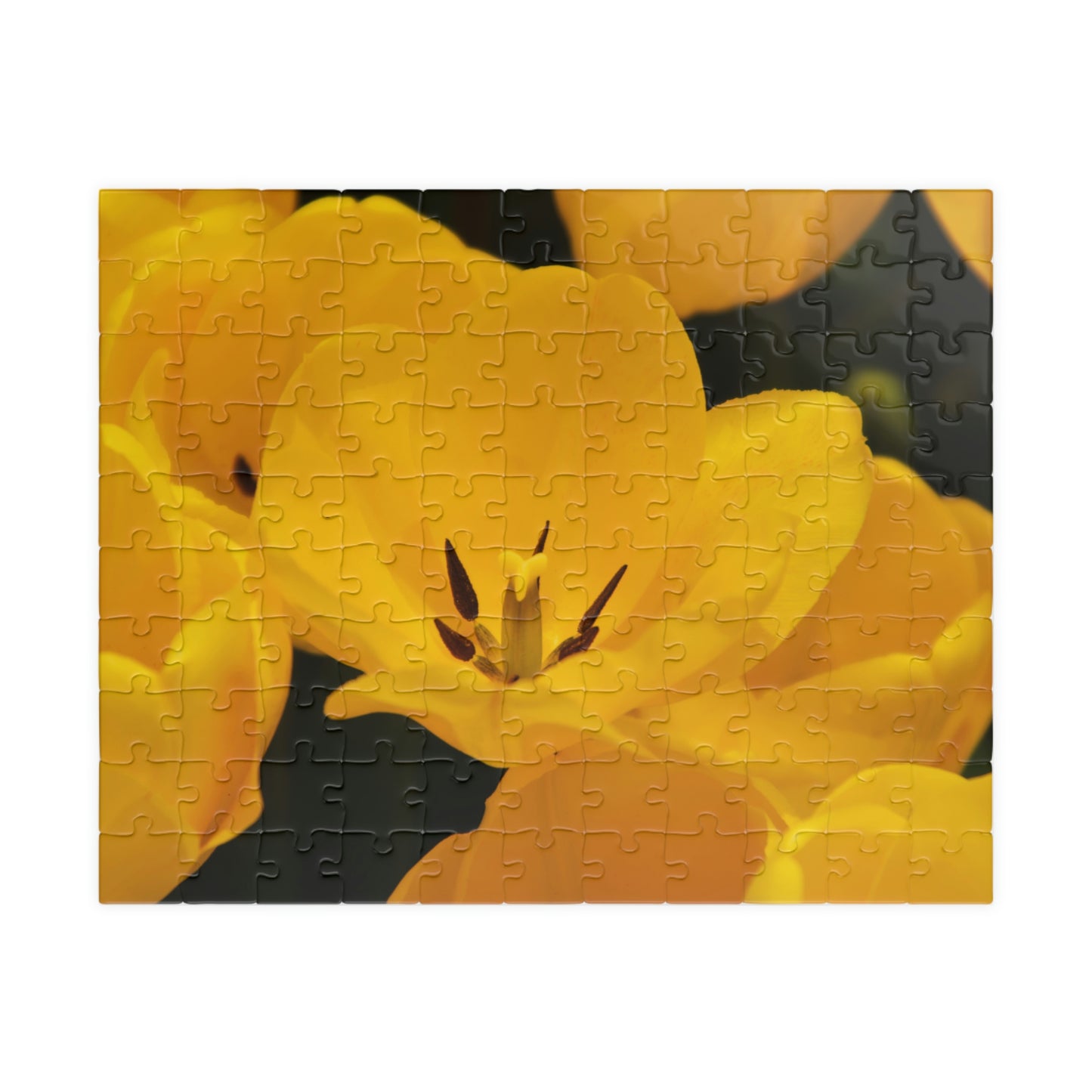 Flowers 16 Puzzle (110, 252, 500, 1014-piece)