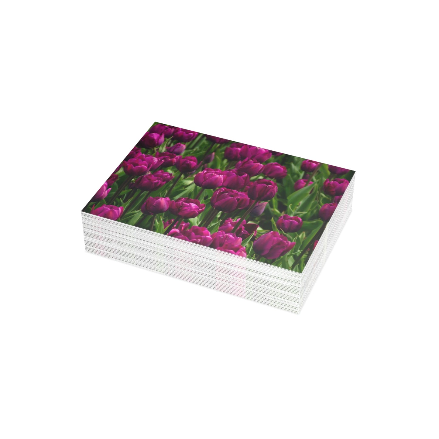 Flowers 18 Greeting Card Bundles (envelopes not included)