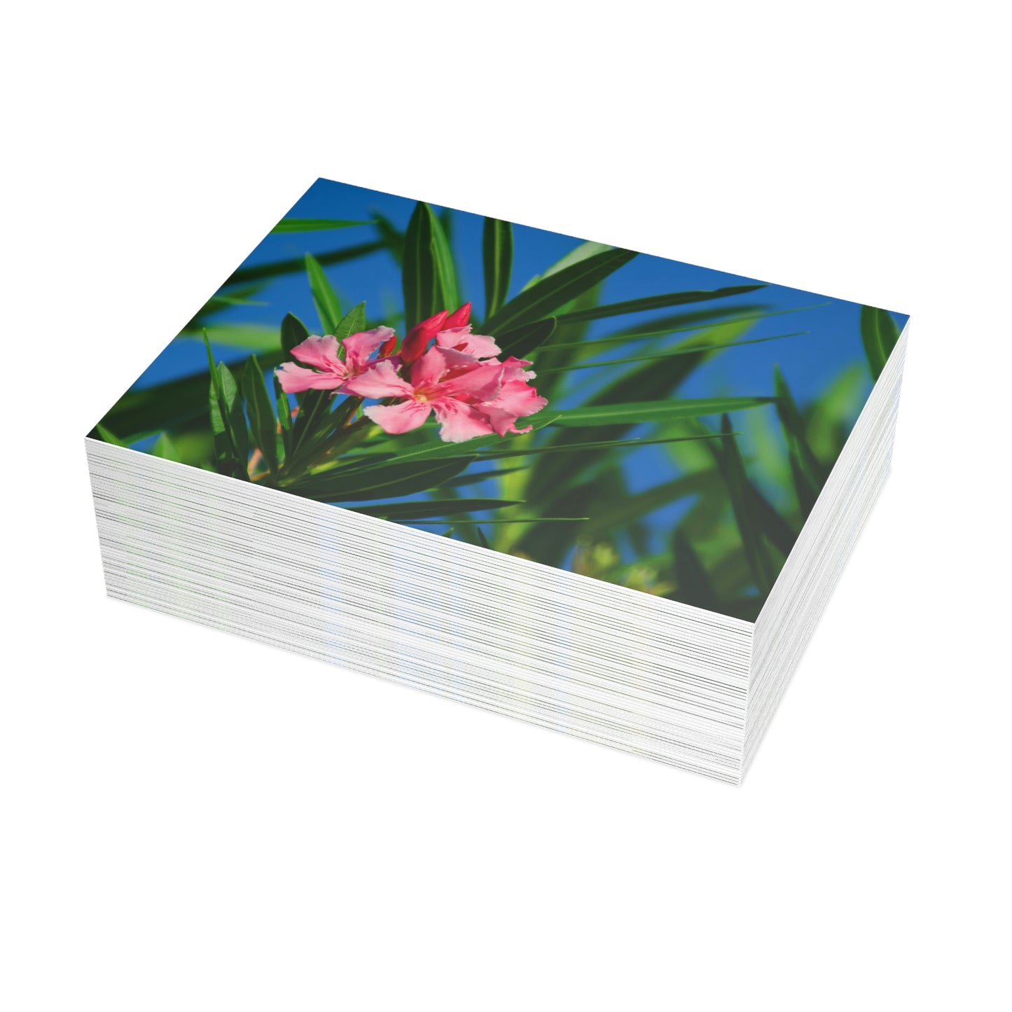 Flowers 30 Greeting Card Bundles (envelopes not included)
