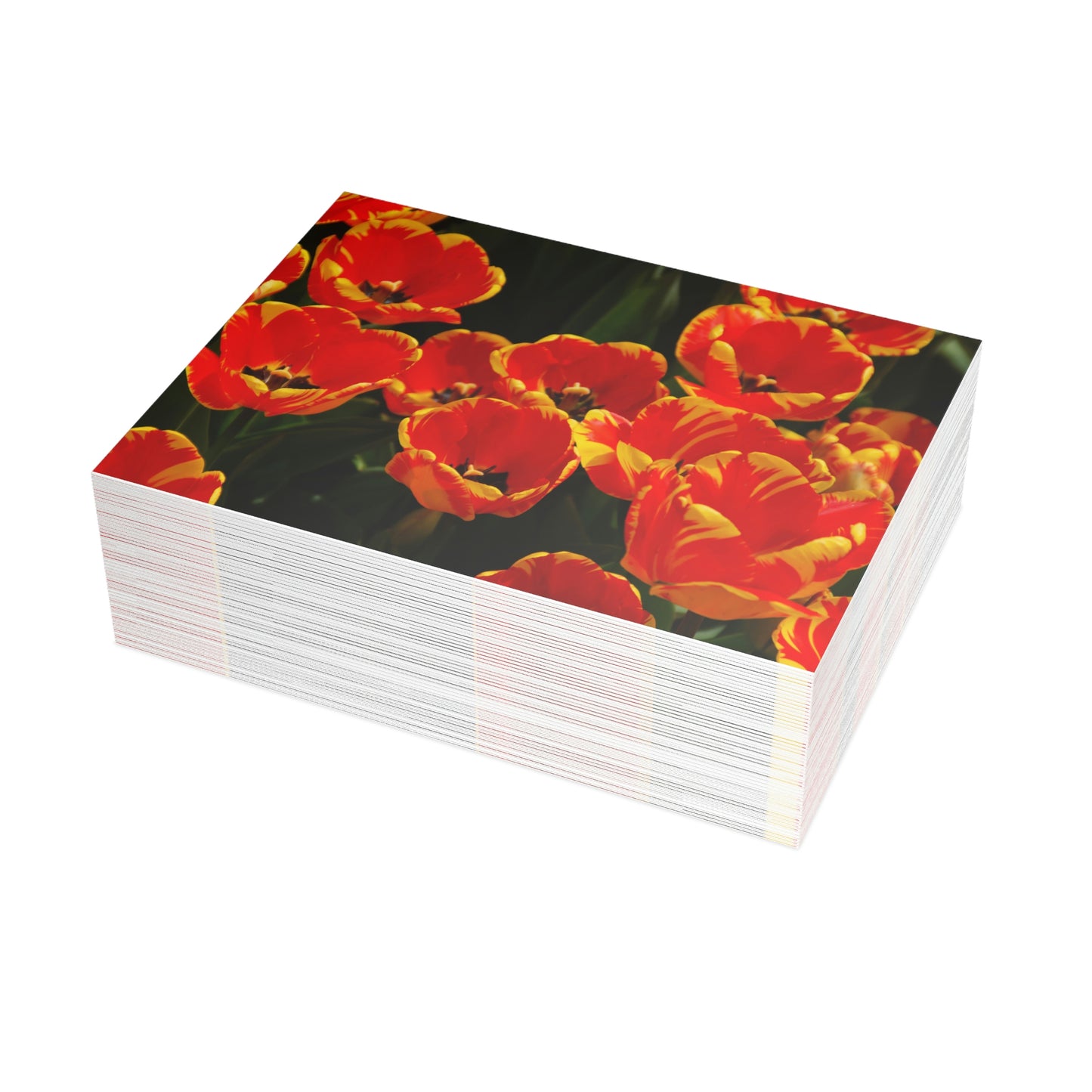 Flowers 20 Greeting Card Bundles (envelopes not included)