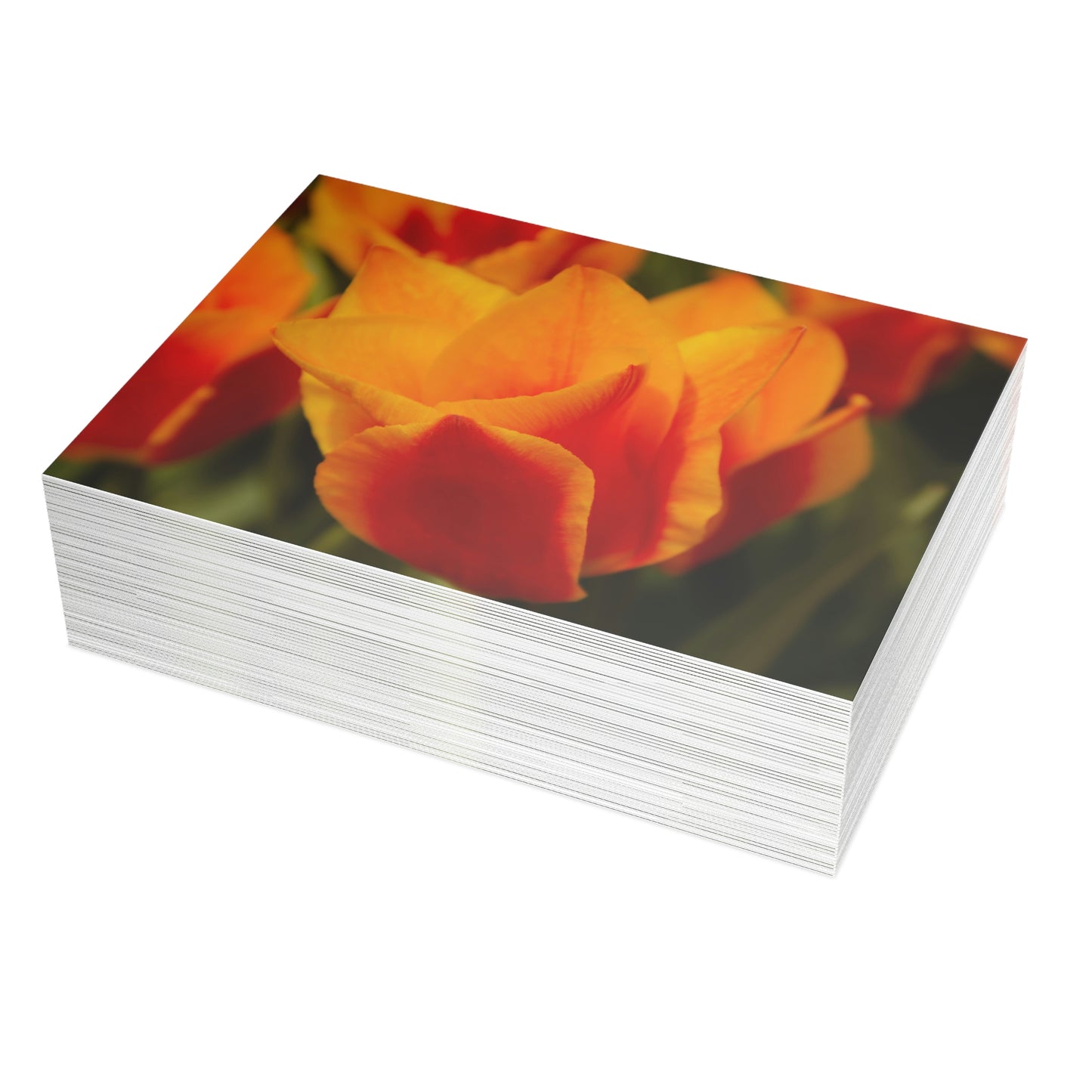 Flowers 13 Greeting Card Bundles (envelopes not included)