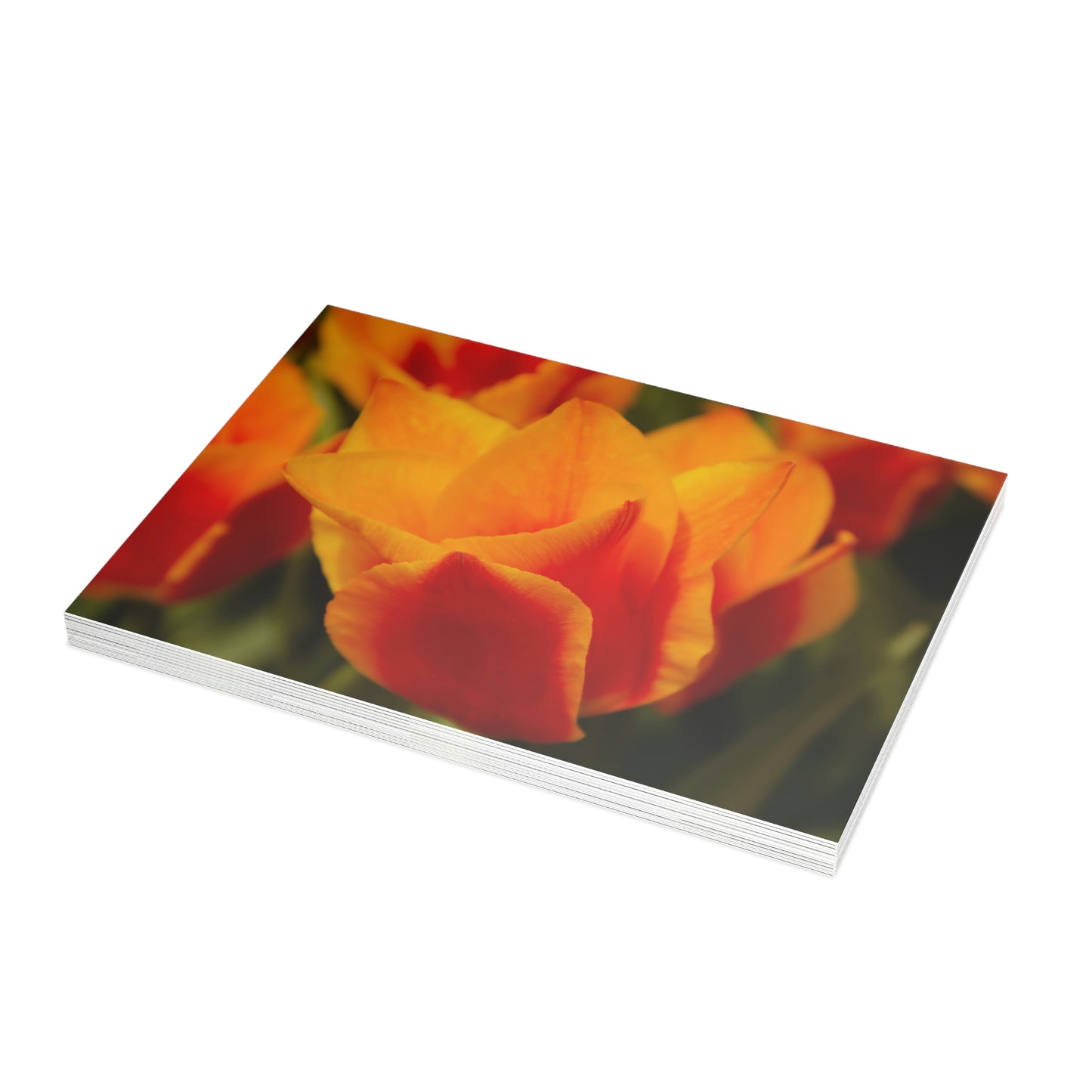 Flowers 13 Greeting Card Bundles (envelopes not included)