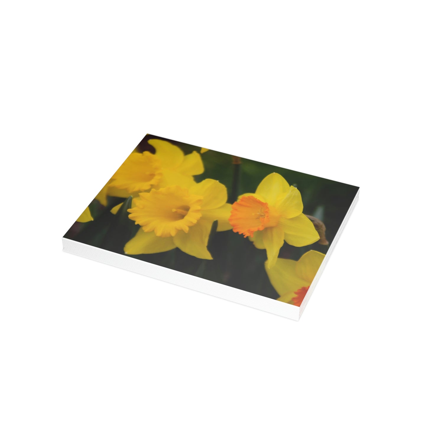 Flowers 10 Greeting Card Bundles (envelopes not included)