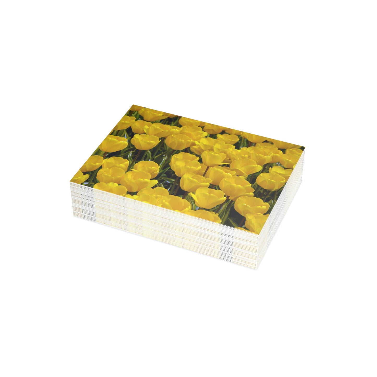 Flowers 24 Greeting Card Bundles (envelopes not included)