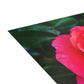 Flowers 08 Greeting Card Bundles (envelopes not included)