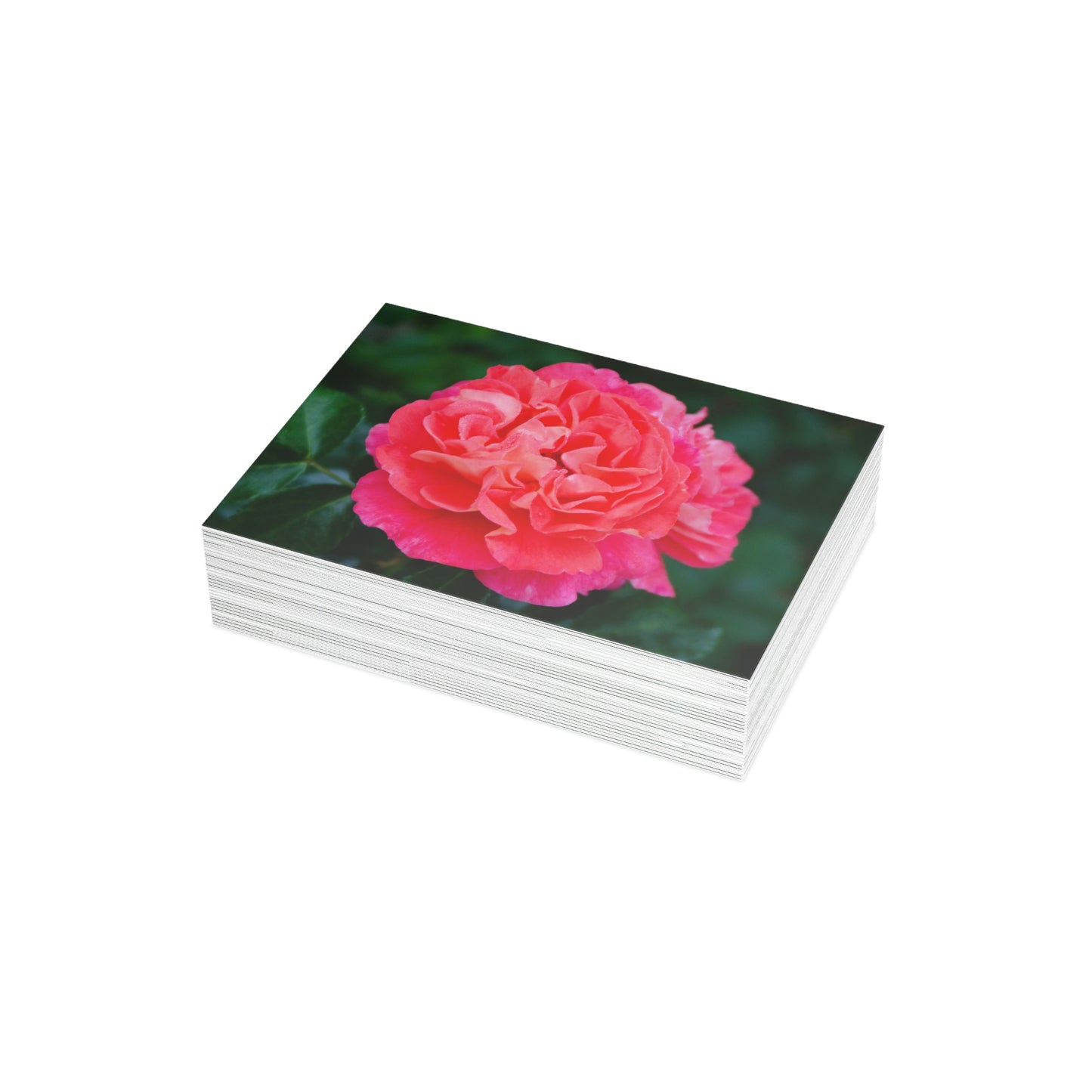 Flowers 08 Greeting Card Bundles (envelopes not included)