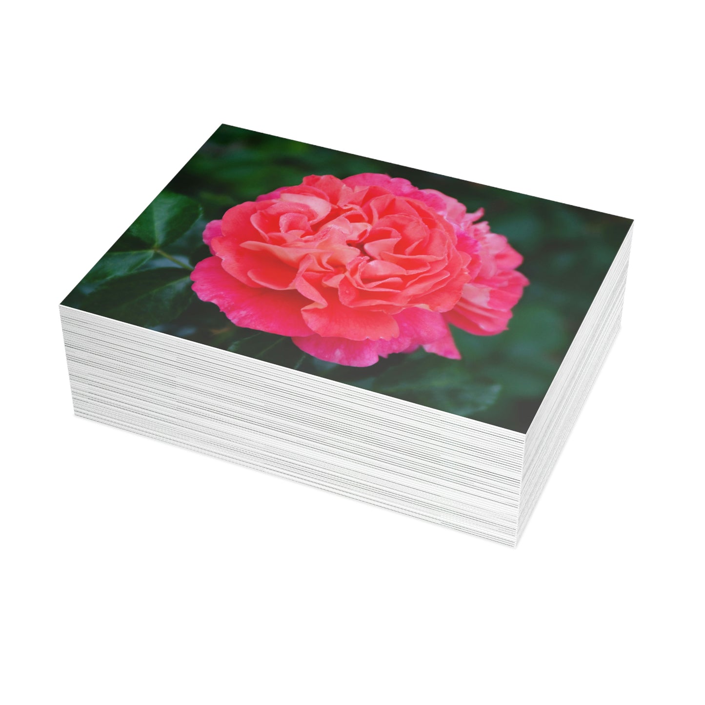 Flowers 08 Greeting Card Bundles (envelopes not included)