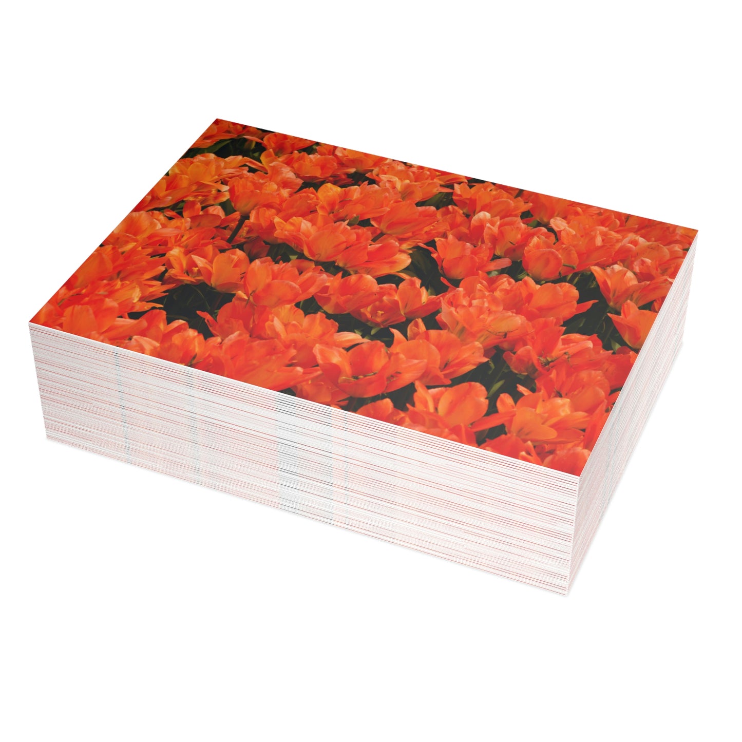 Flowers 02 Greeting Card Bundles (envelopes not included)