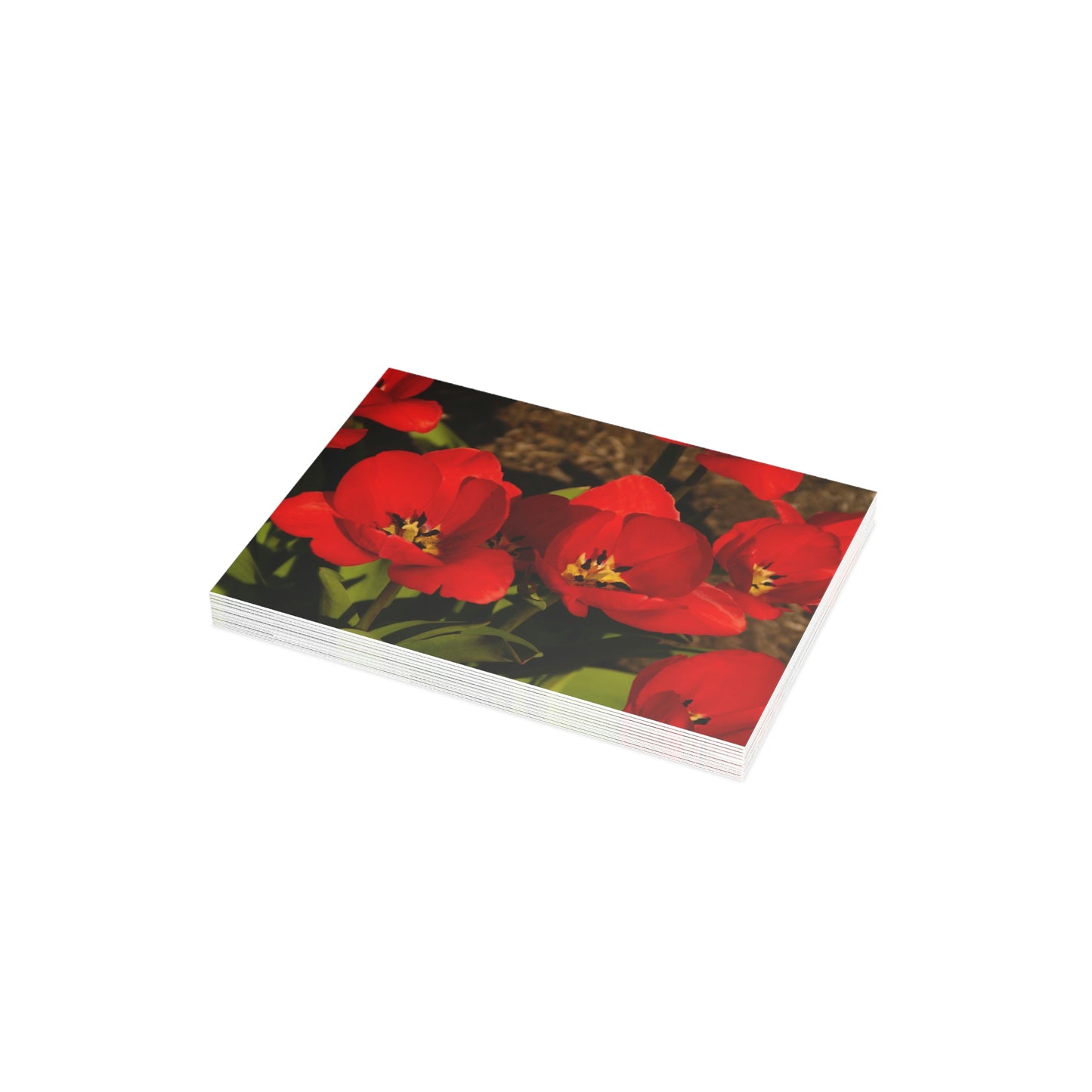 Flowers 05 Greeting Card Bundles (envelopes not included)