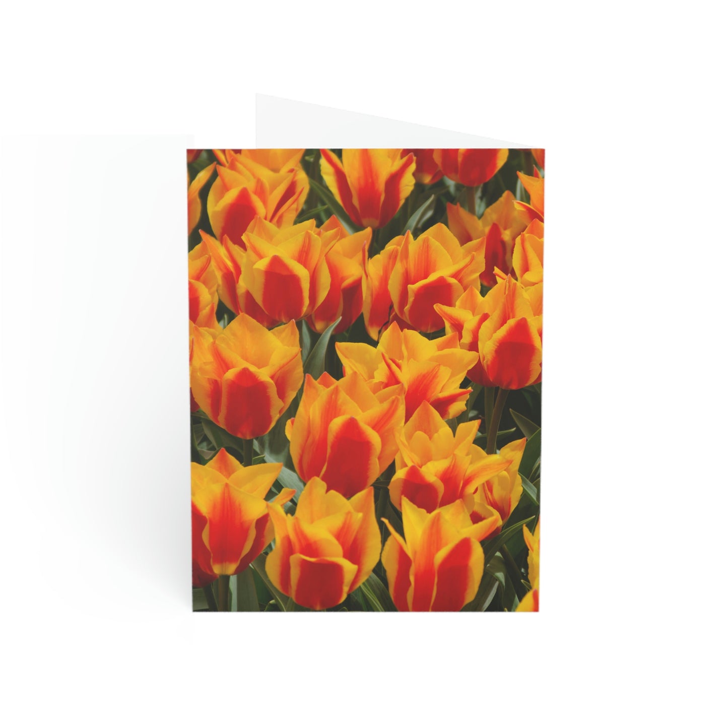 Flowers 18 Greeting Cards (1, 10, 30, and 50pcs)