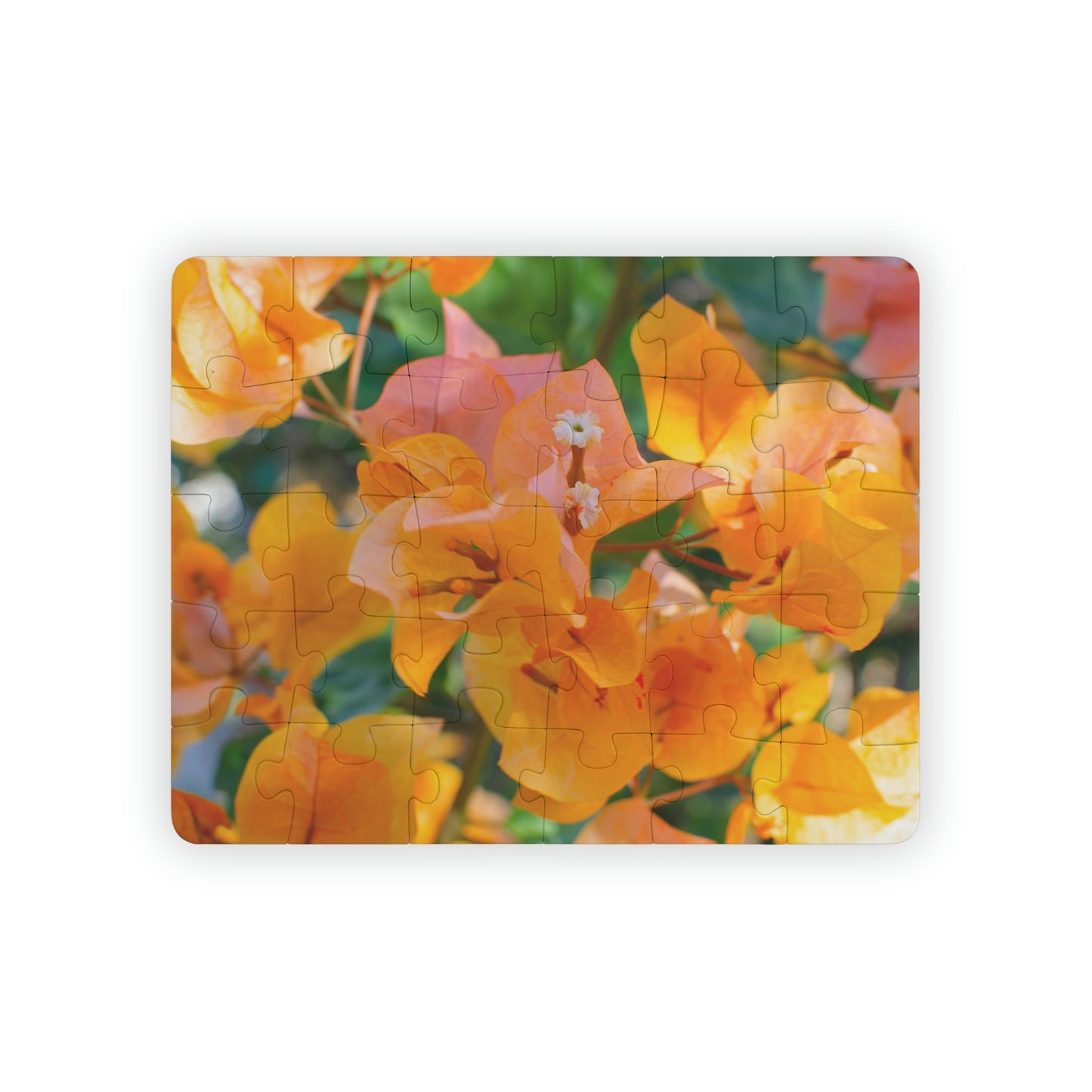 Flowers 29 Kids' Puzzle, 30-Piece