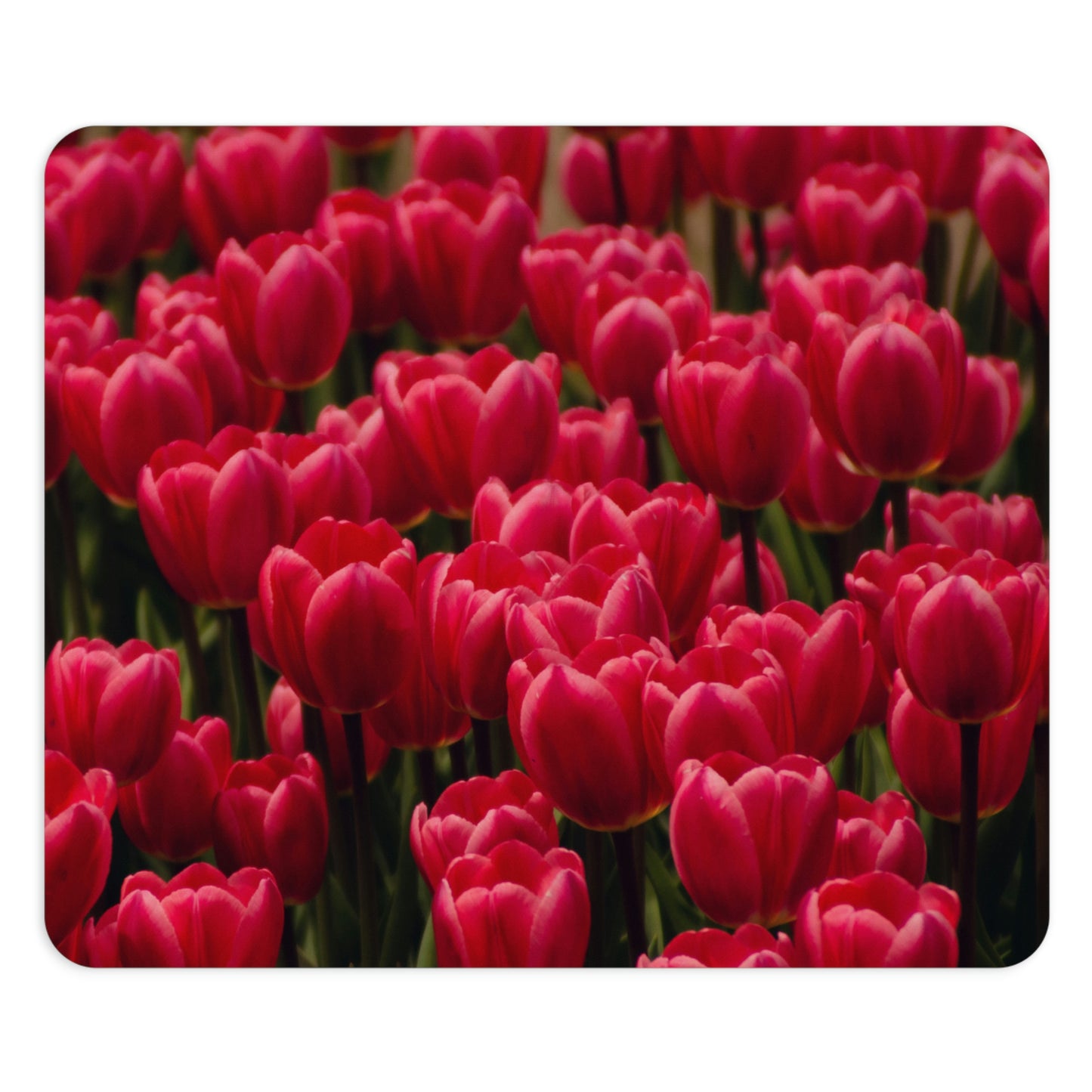 Flowers 14 Rectangle Mouse Pad