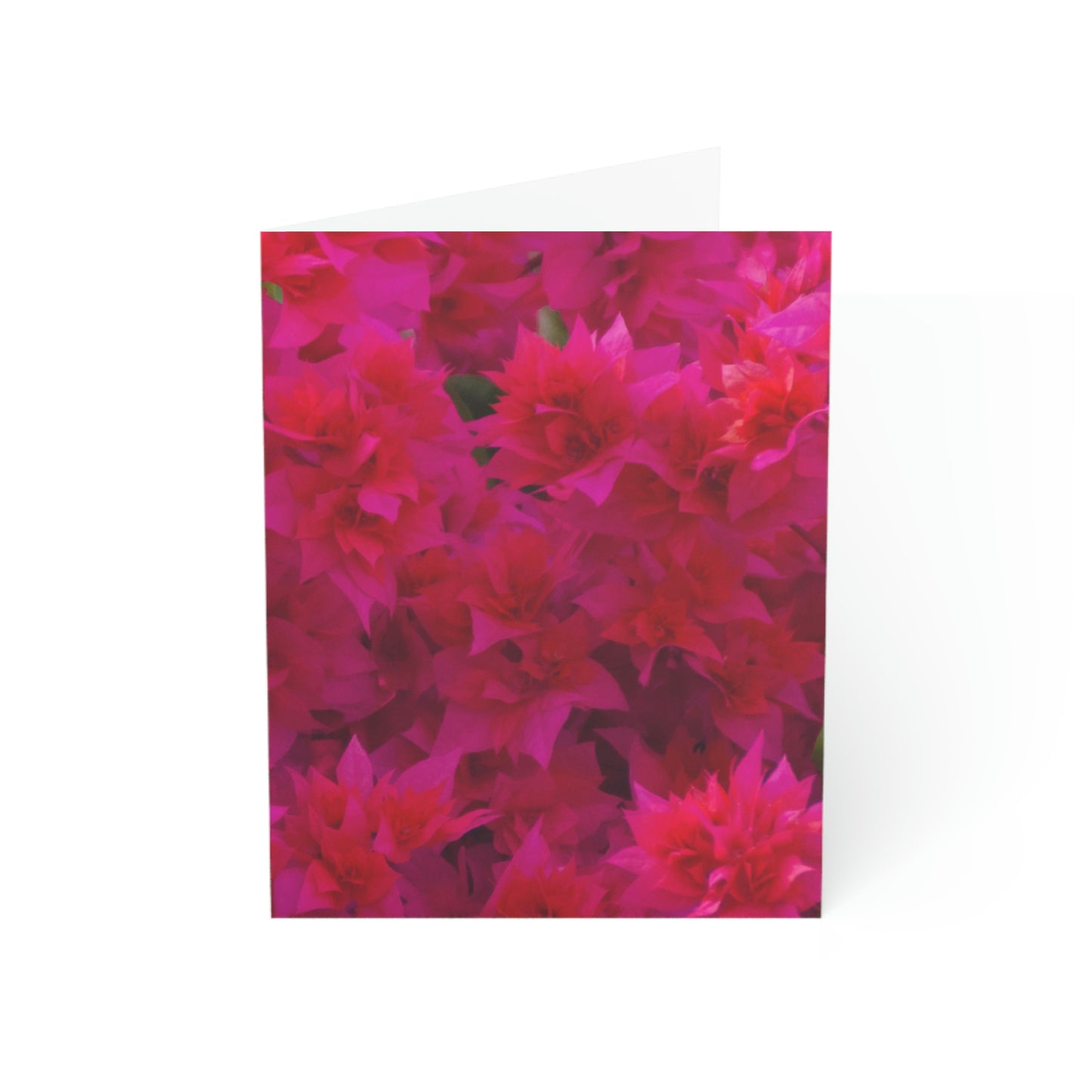 Flowers 27 Greeting Cards (1, 10, 30, and 50pcs)