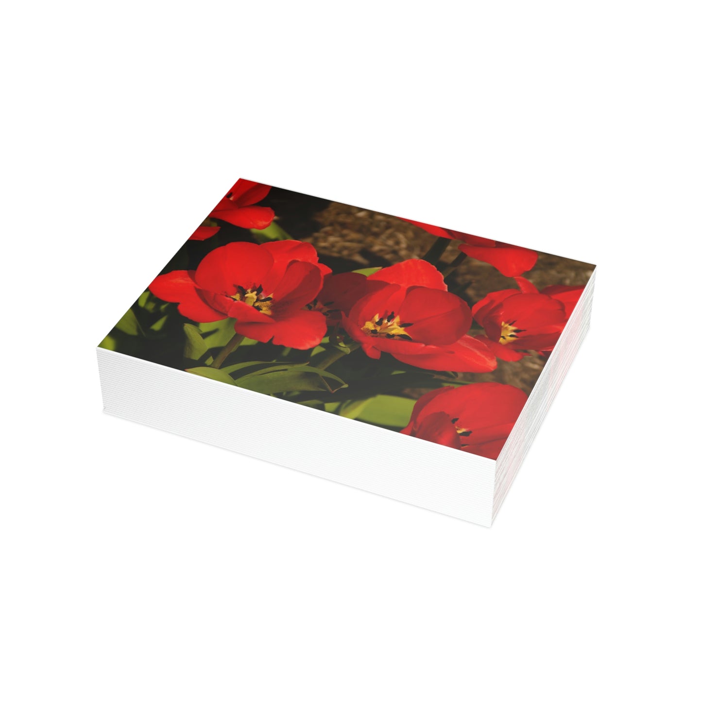 Flowers 05 Greeting Card Bundles (envelopes not included)