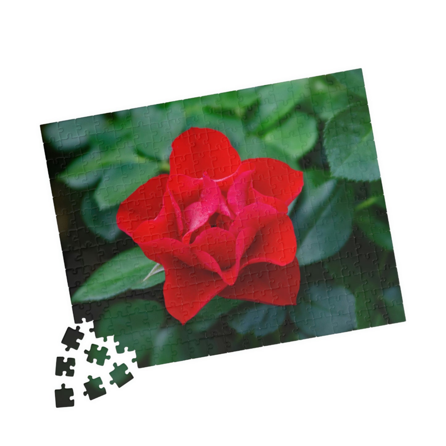 Flowers 07 Puzzle (110, 252, 500, 1014-piece)