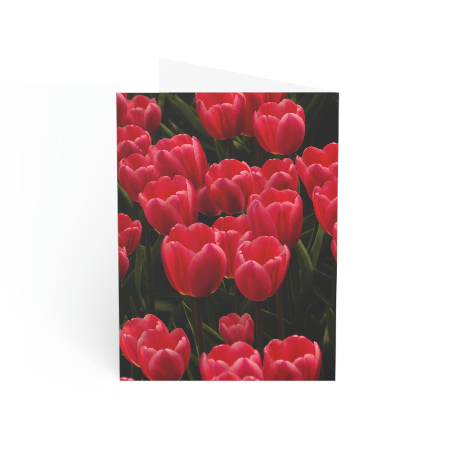 Flowers 24 Greeting Cards (1, 10, 30, and 50pcs)