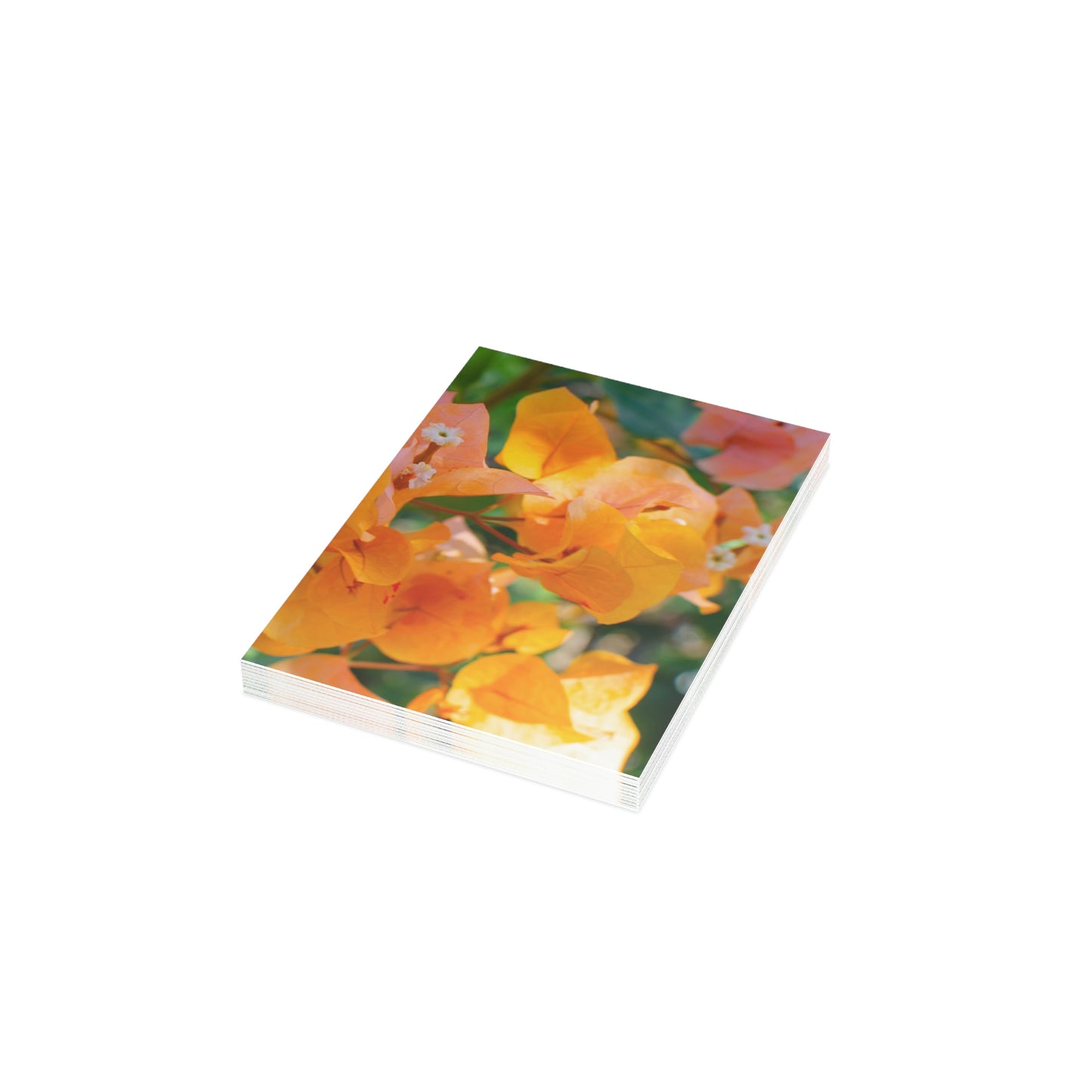 Flowers 29 Greeting Cards (1, 10, 30, and 50pcs)